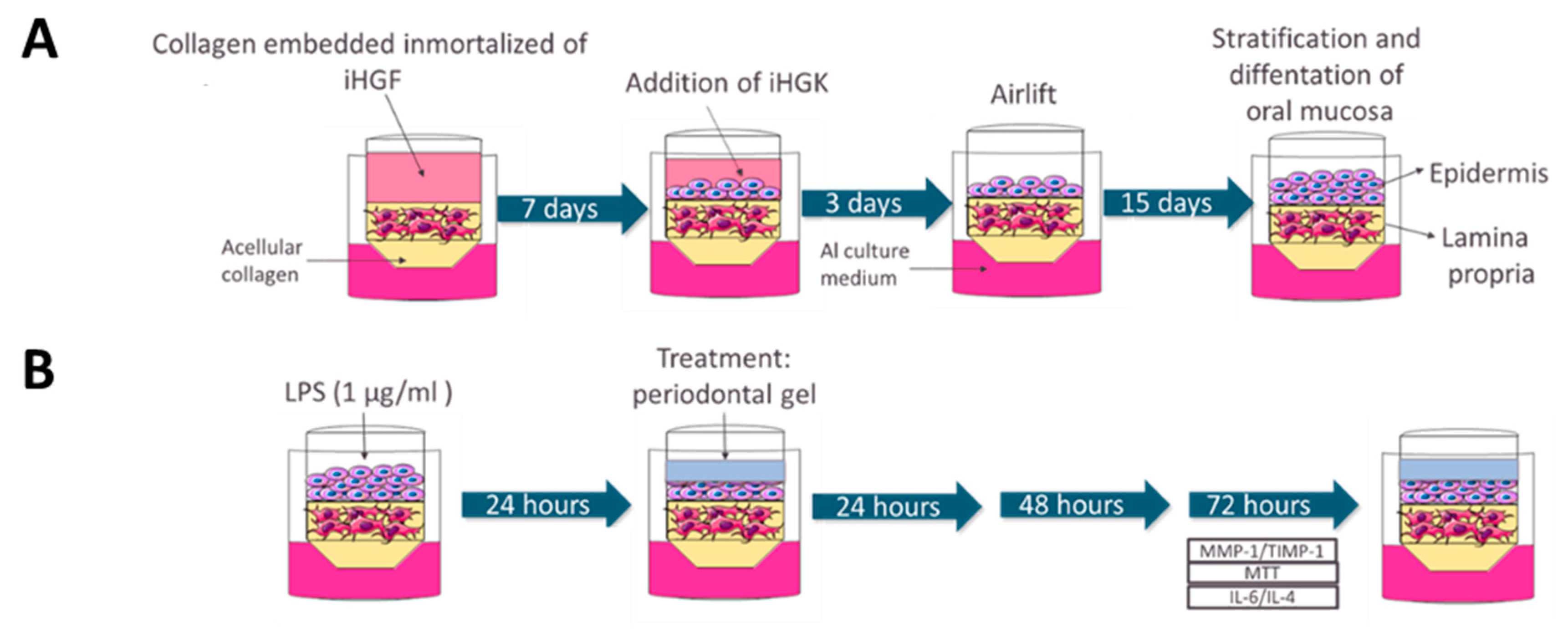 Pharmaceutics 13 01502 g001