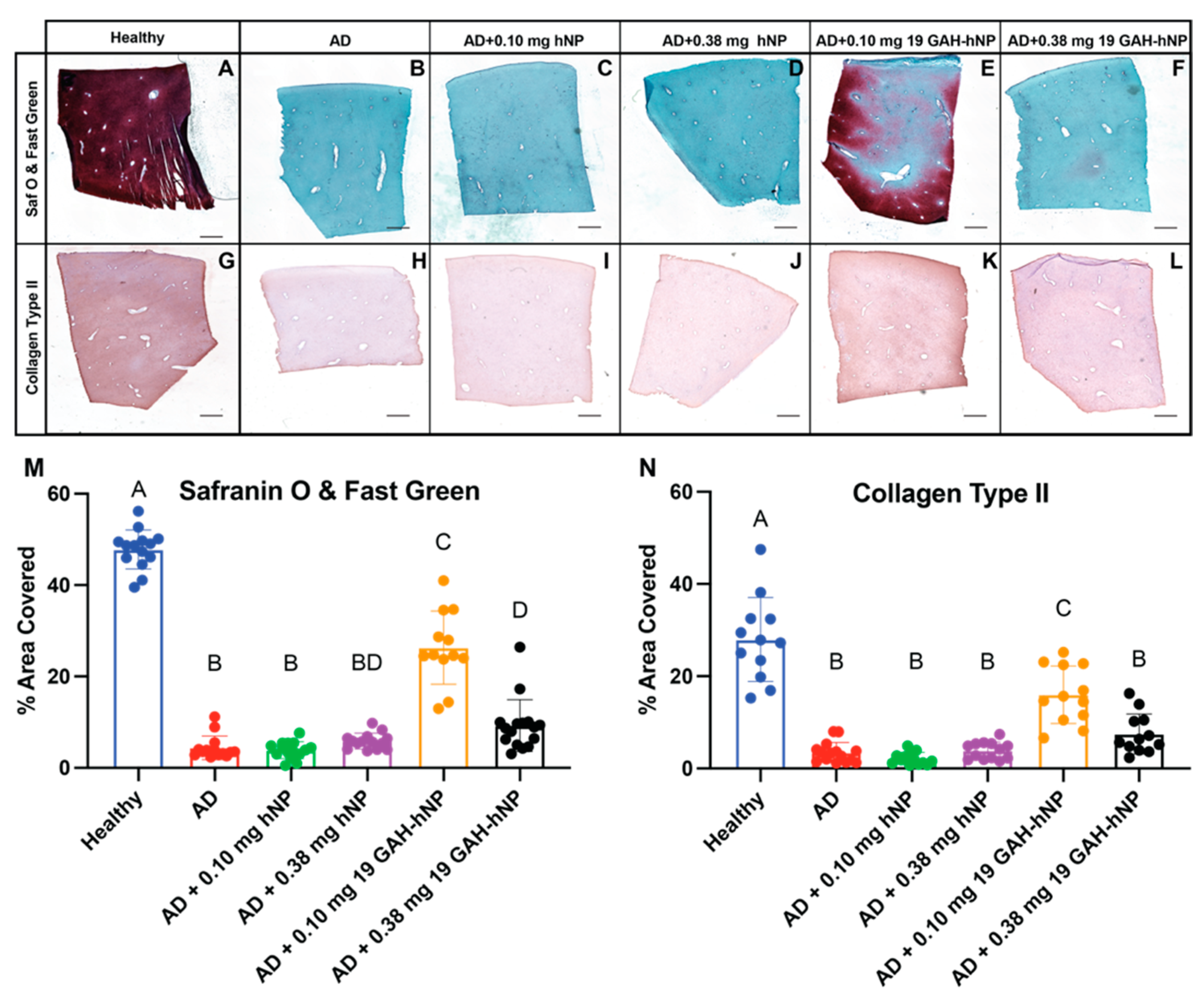 Pharmaceutics 13 01503 g007 Pharmaceutics 13 01503 g007