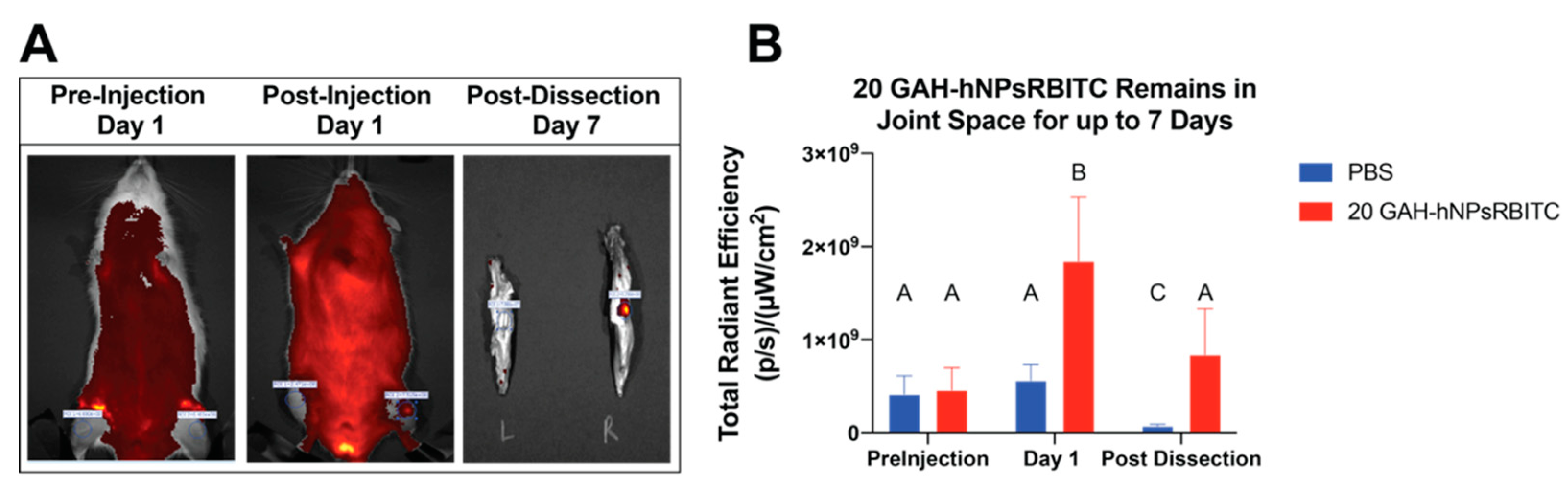 Pharmaceutics 13 01503 g008 Pharmaceutics 13 01503 g008