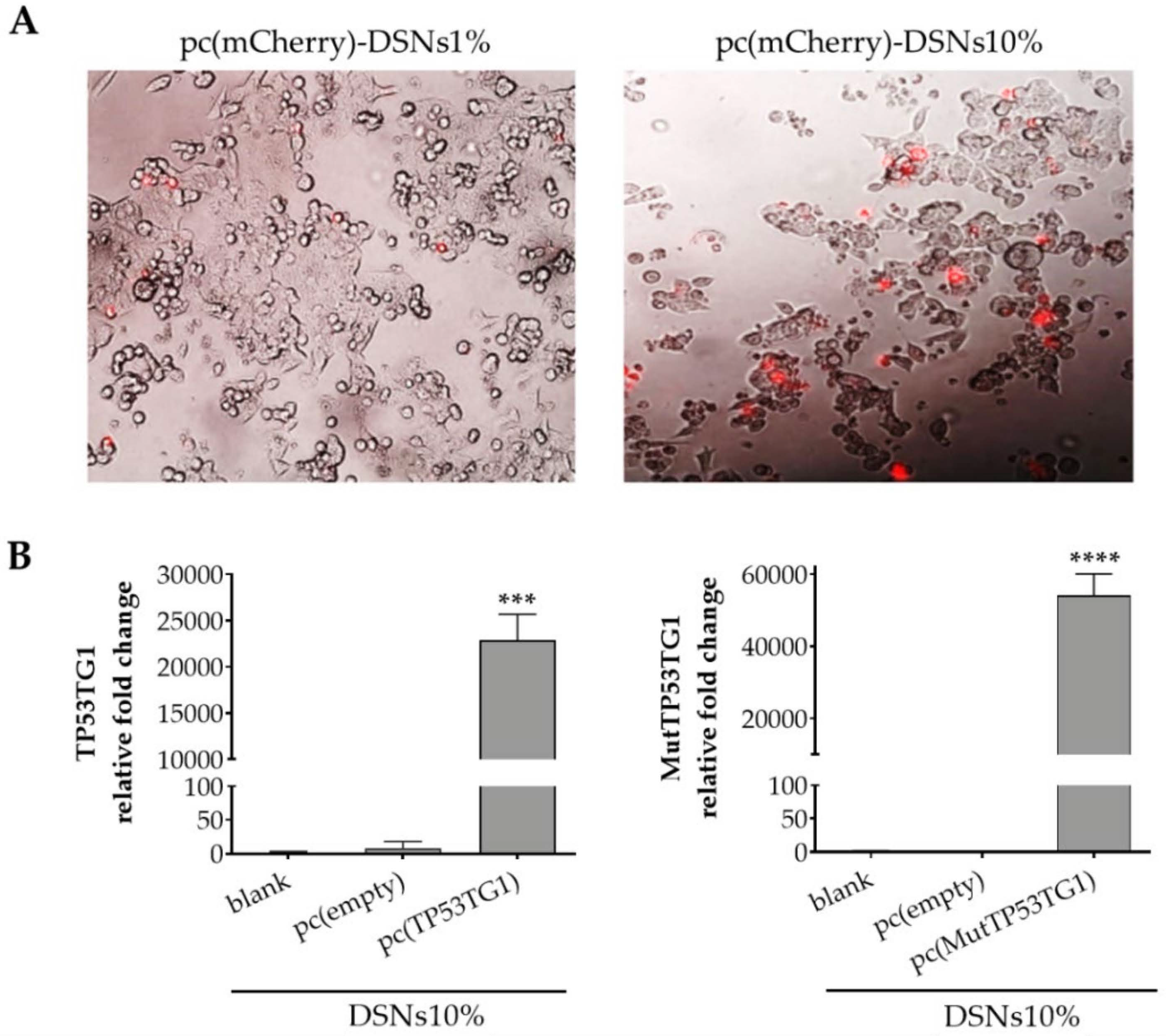 Pharmaceutics 13 01507 g003