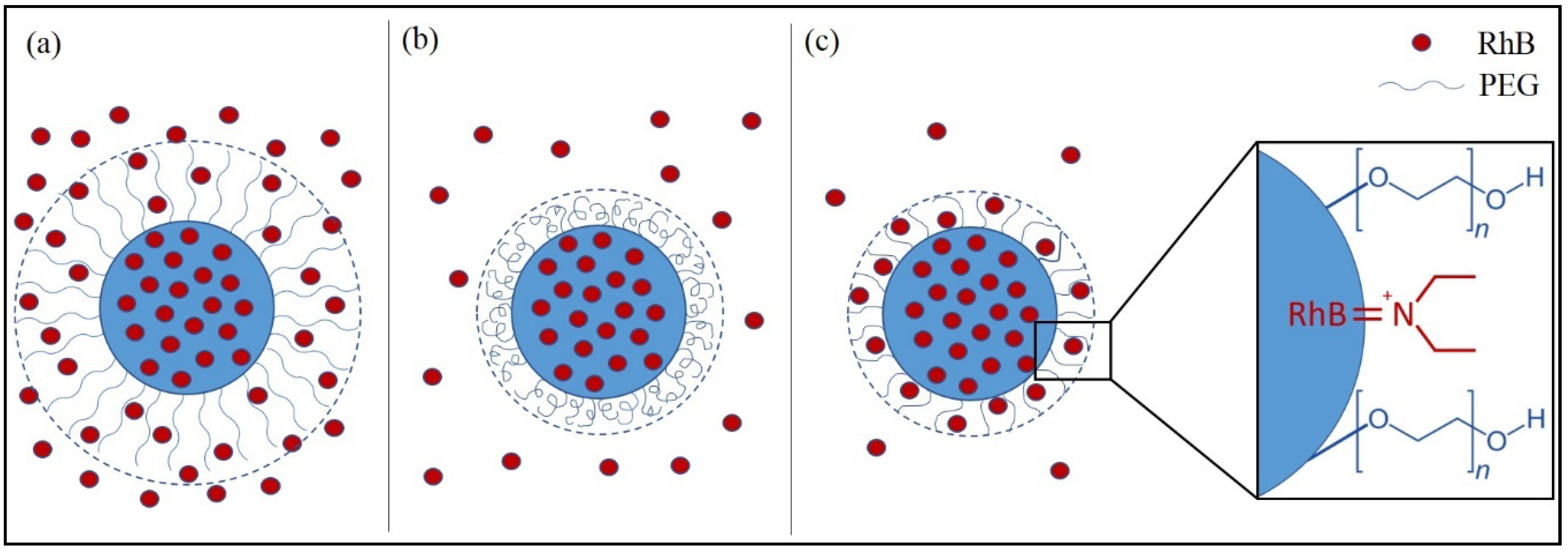 Pharmaceutics 13 01508 g001 550