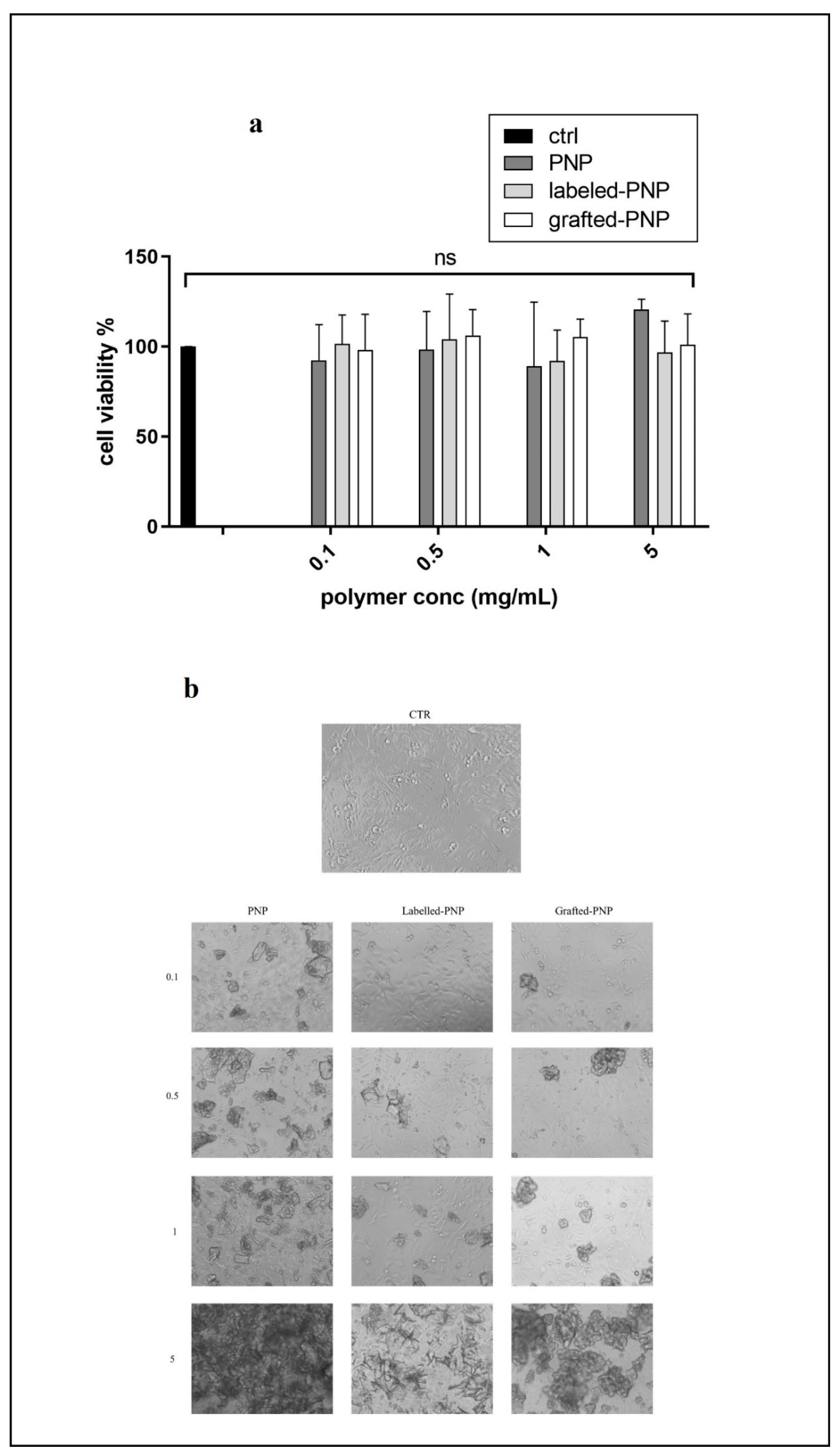 Pharmaceutics 13 01508 g007 550