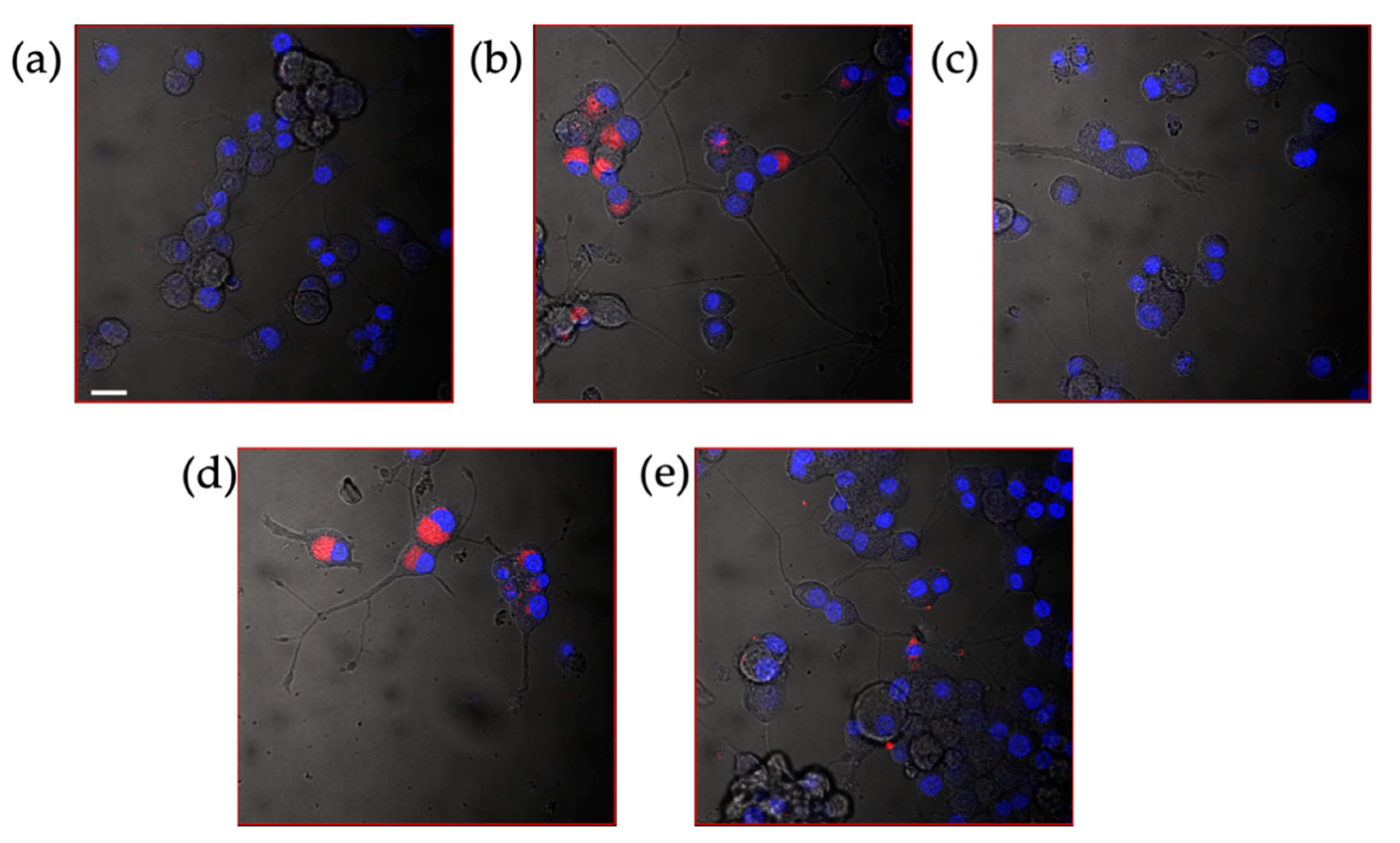 Pharmaceutics 13 01508 g011 550