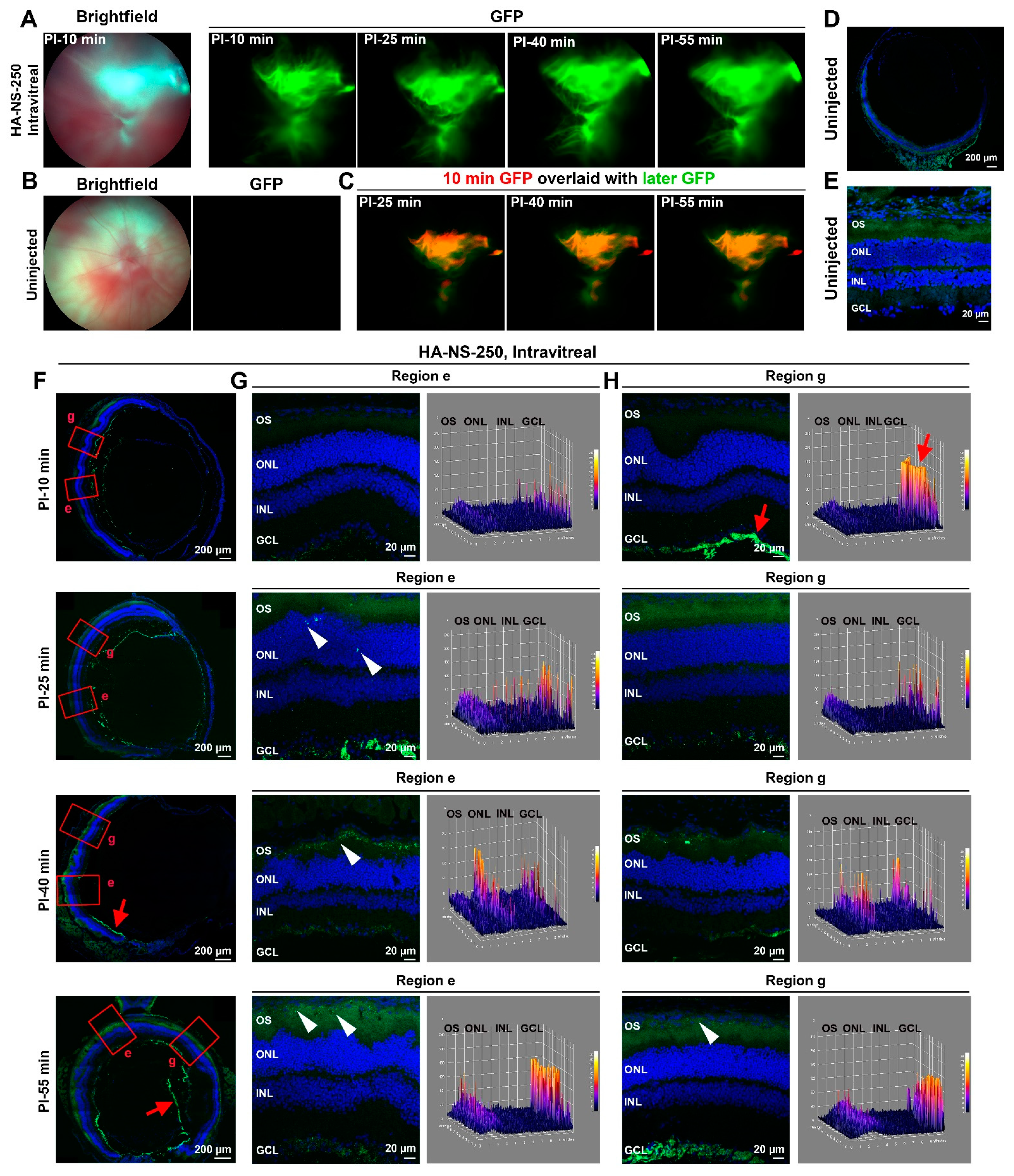 Pharmaceutics 13 01510 g002