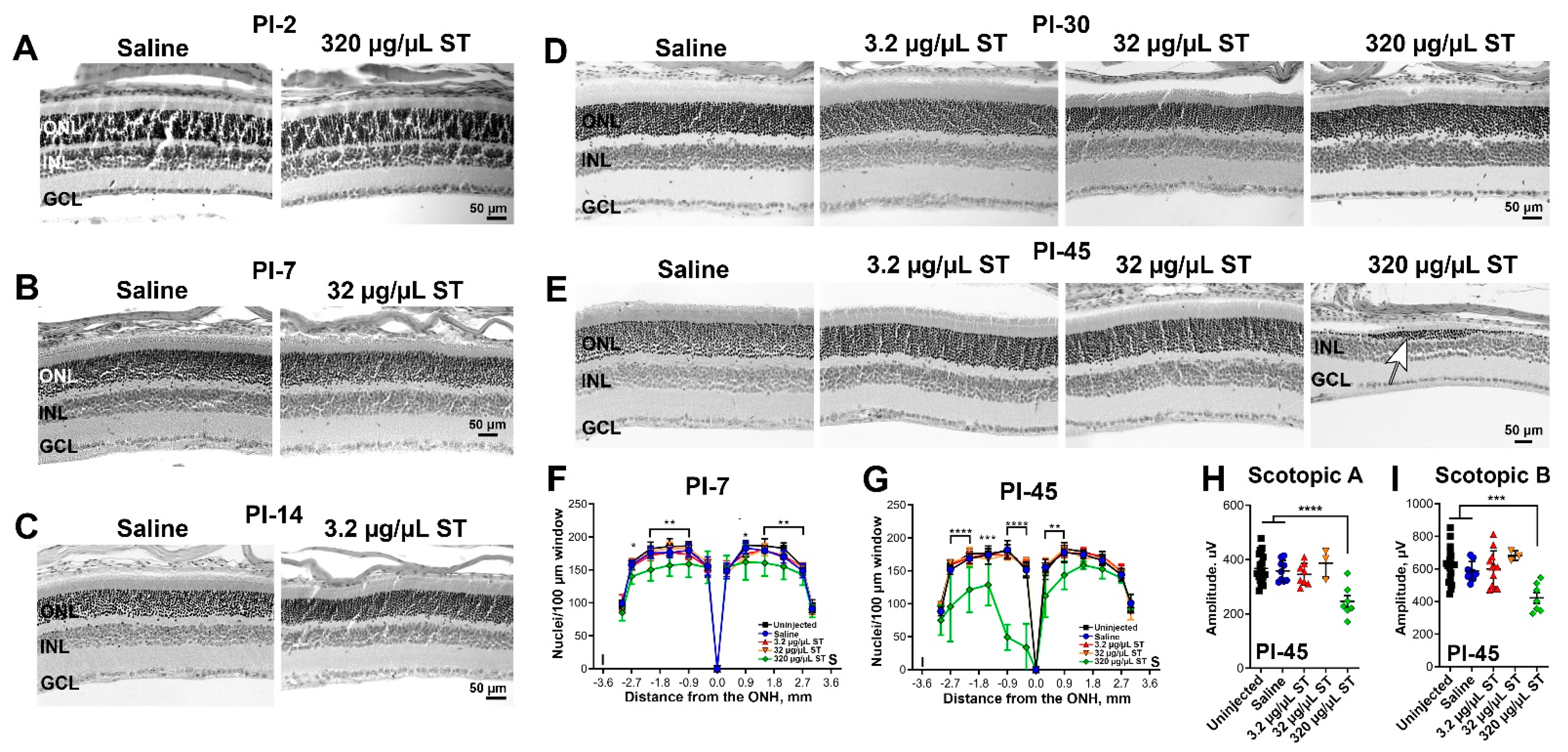 Pharmaceutics 13 01510 g005