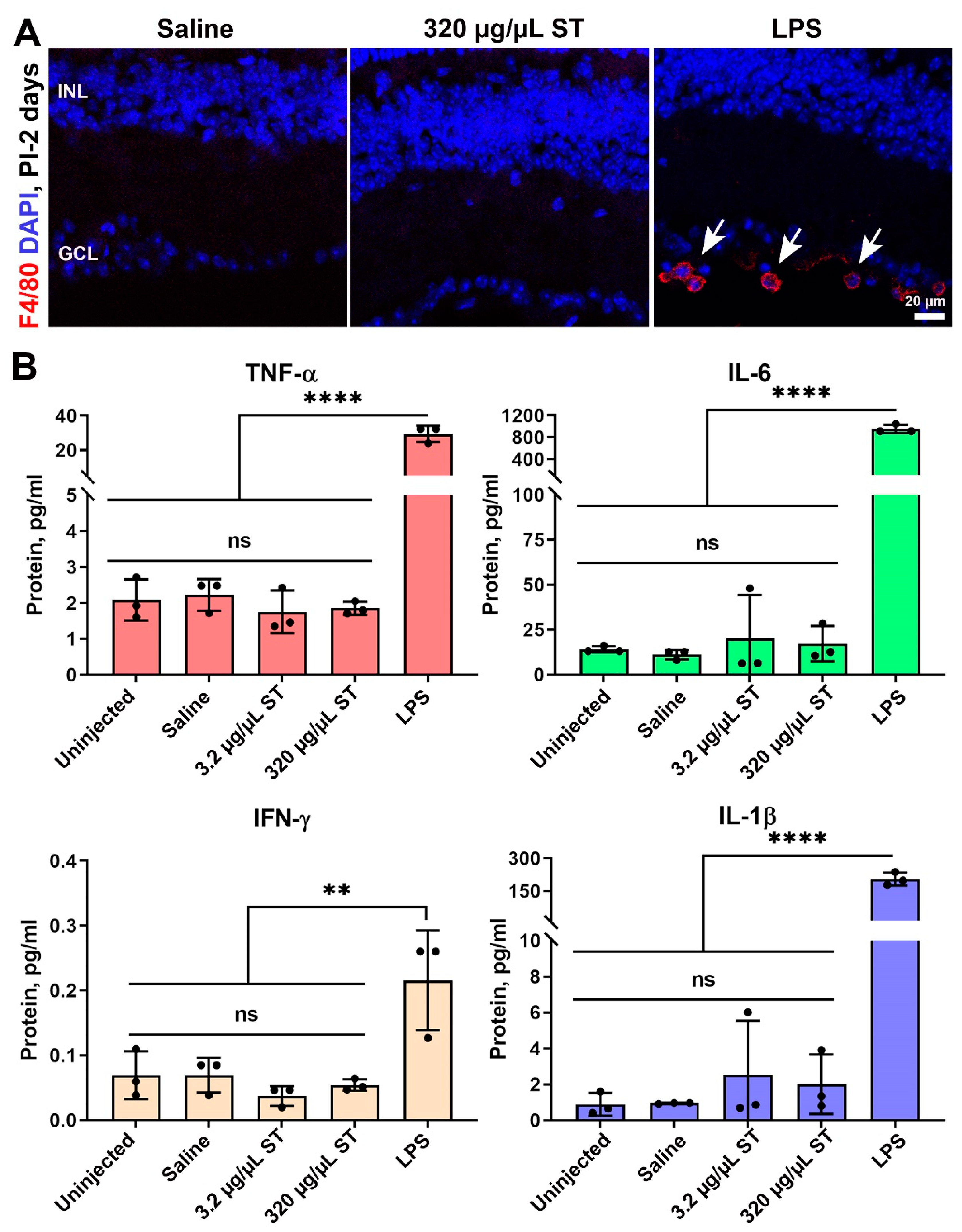 Pharmaceutics 13 01510 g006