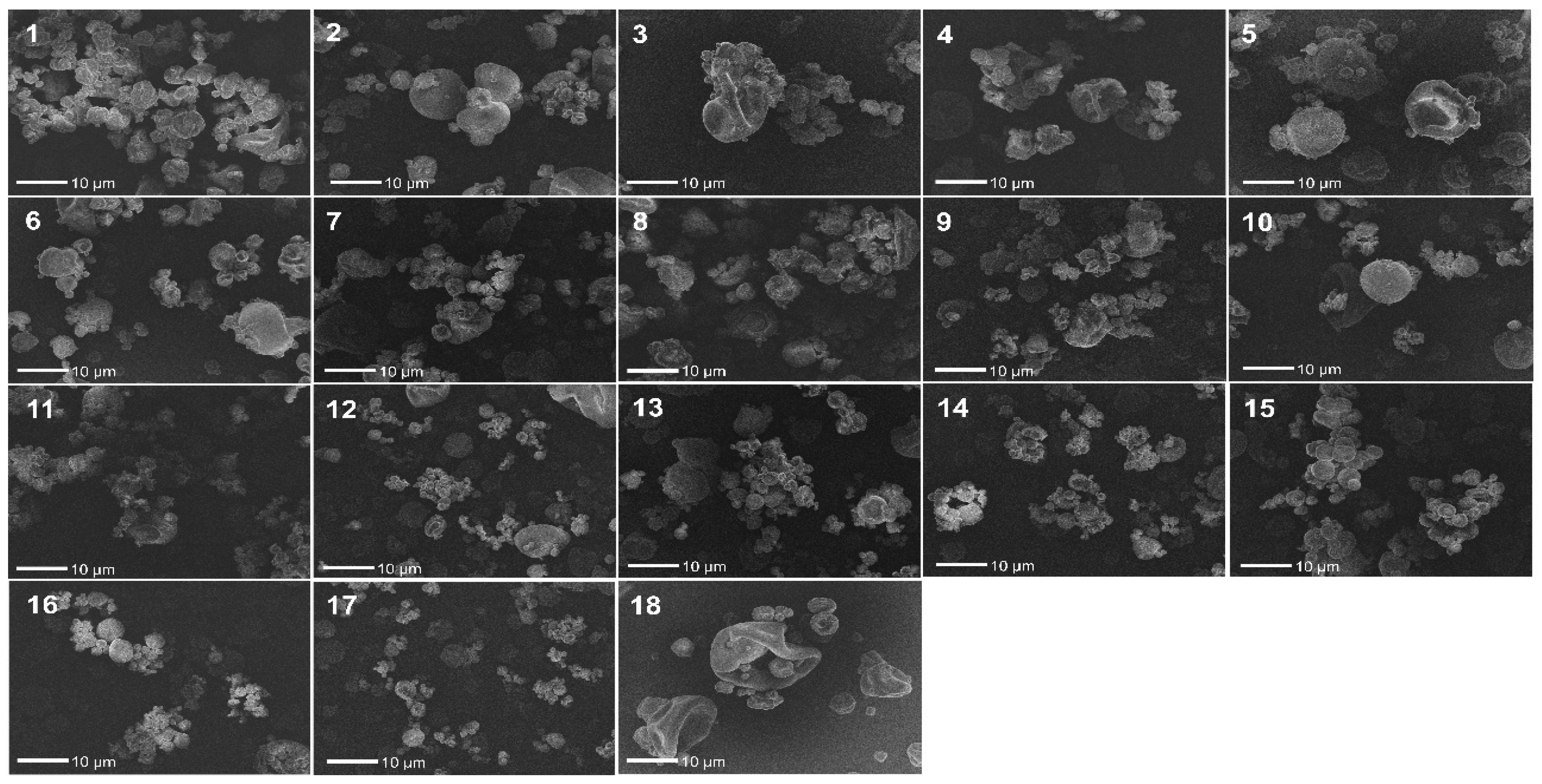 Pharmaceutics 13 01515 g004
