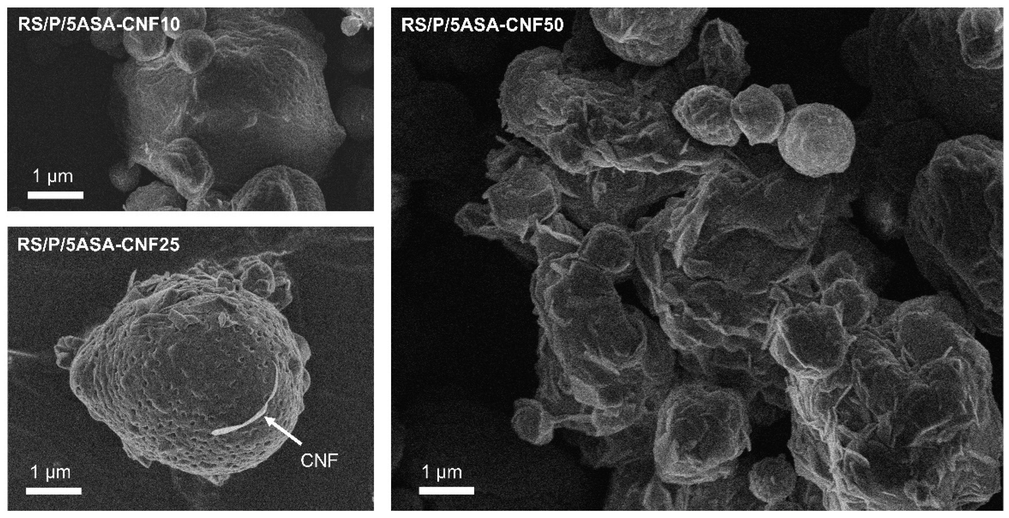 Pharmaceutics 13 01515 g006