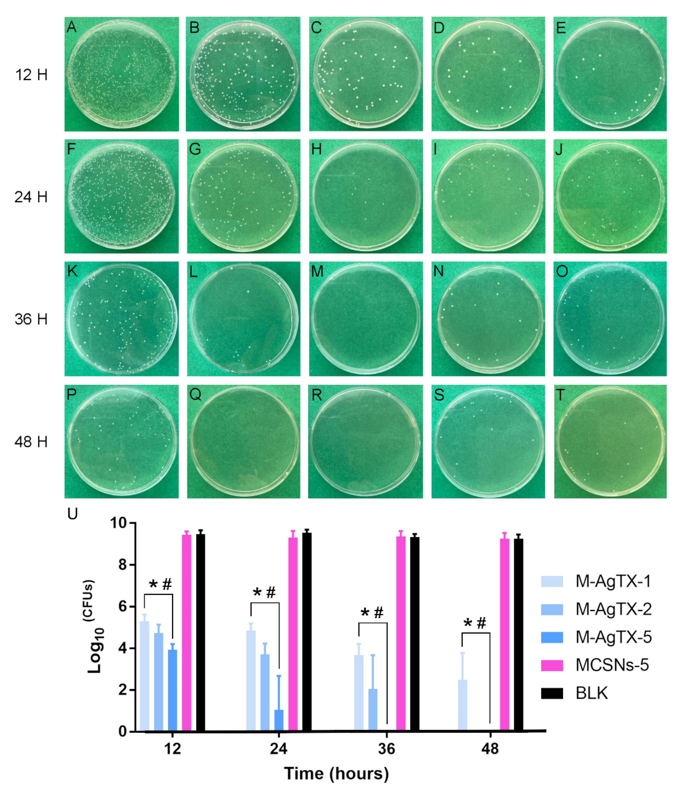Pharmaceutics 13 01518 g006