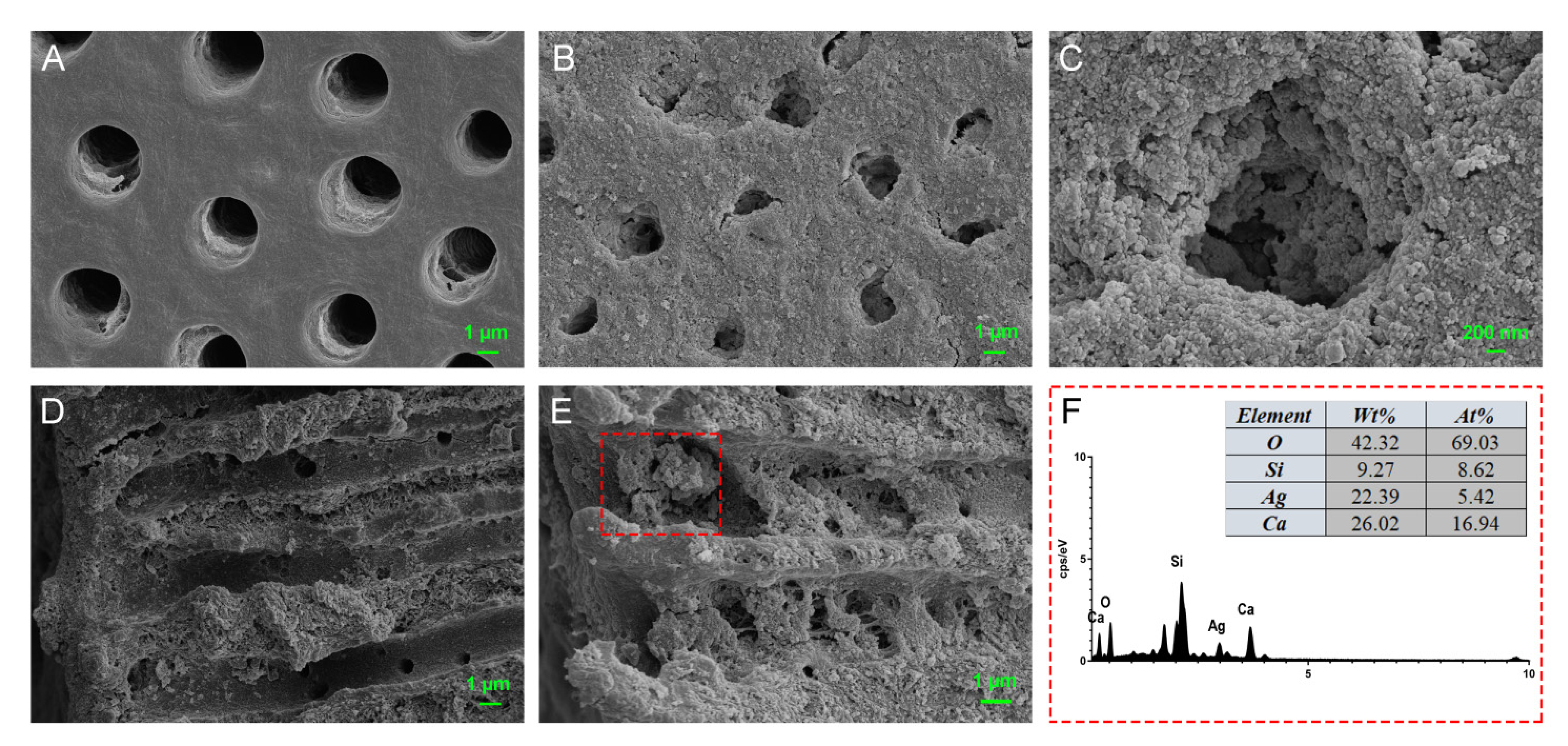 Pharmaceutics 13 01518 g007