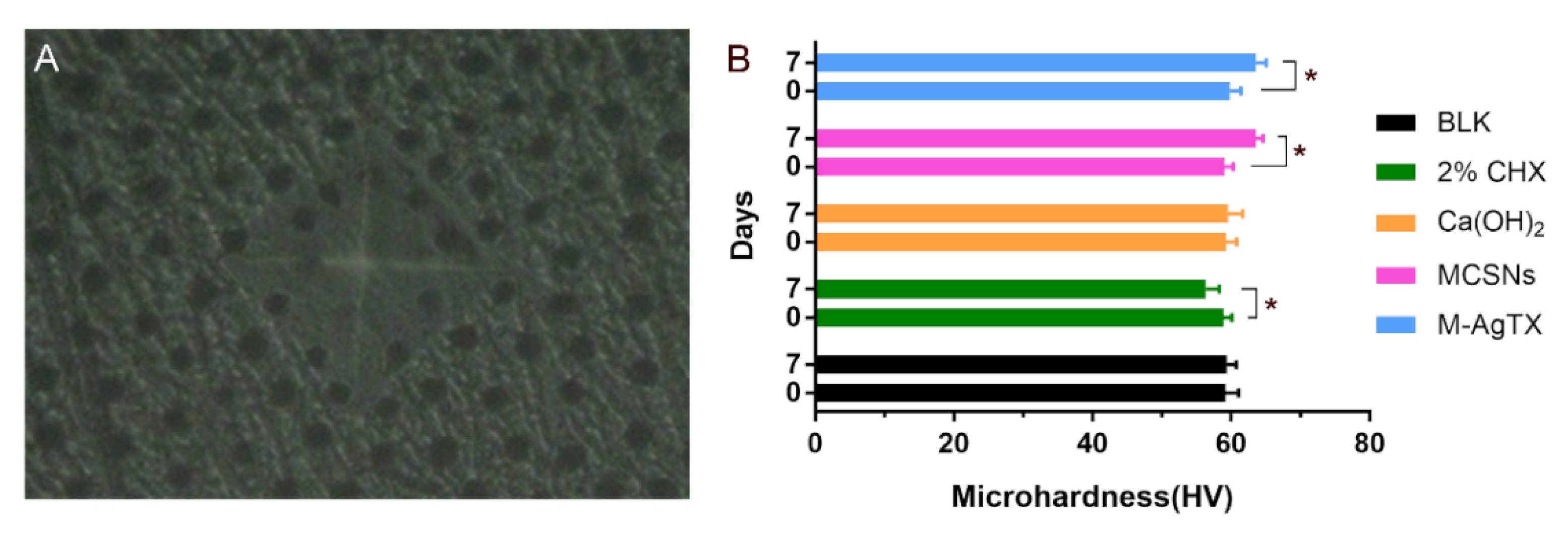 Pharmaceutics 13 01518 g012
