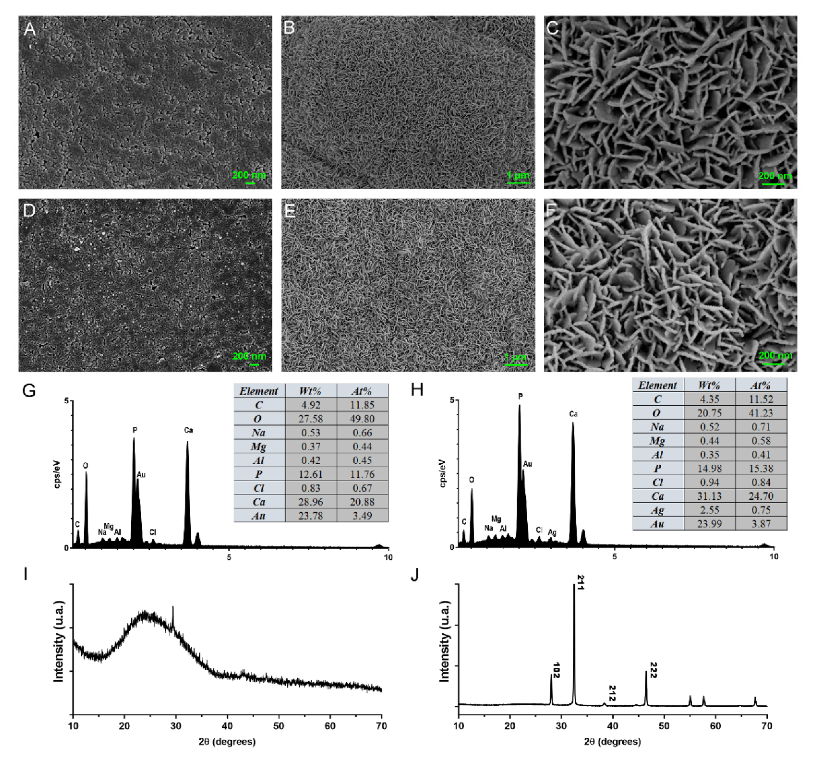 Pharmaceutics 13 01518 g013
