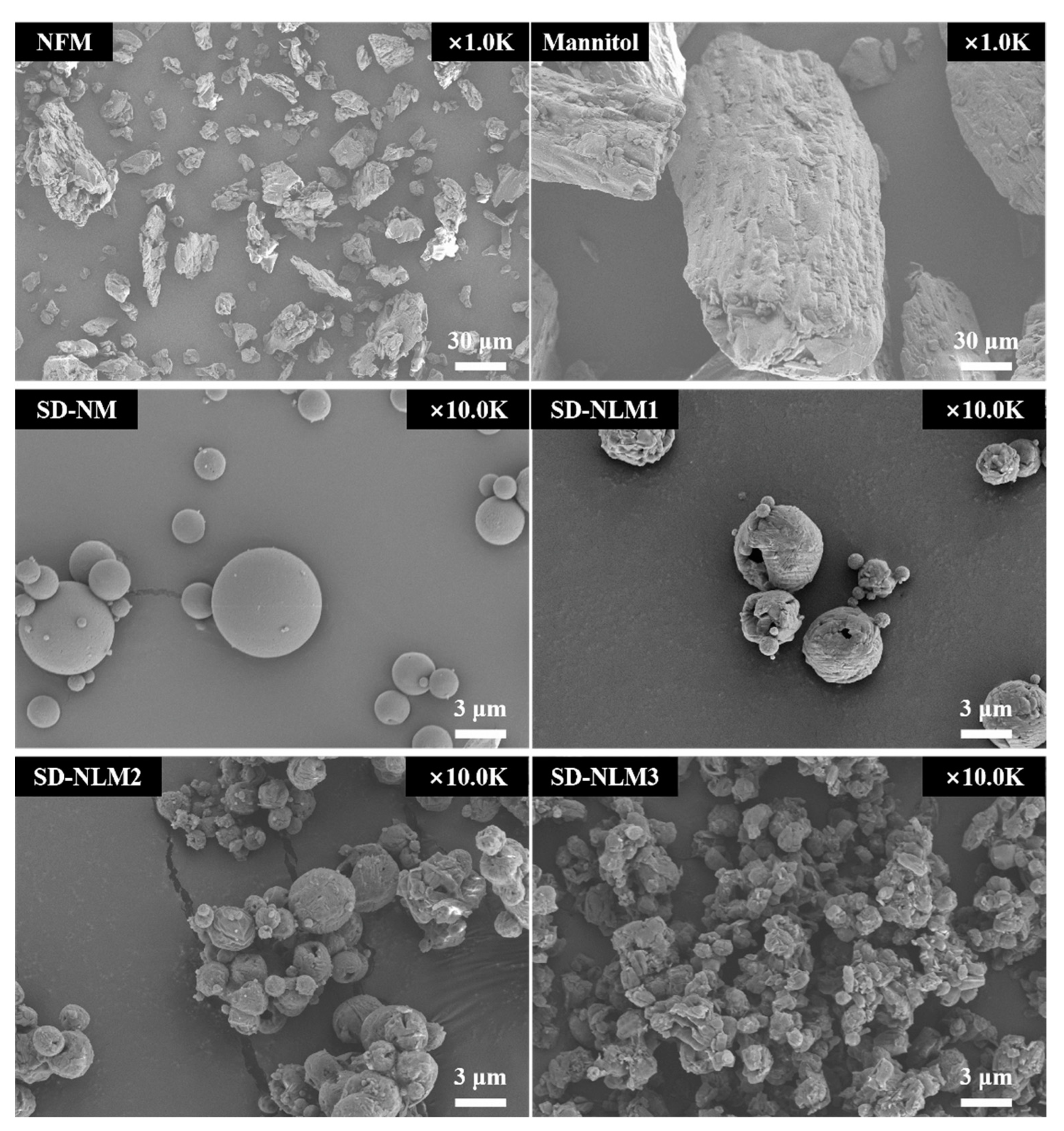 Pharmaceutics 13 01519 g001