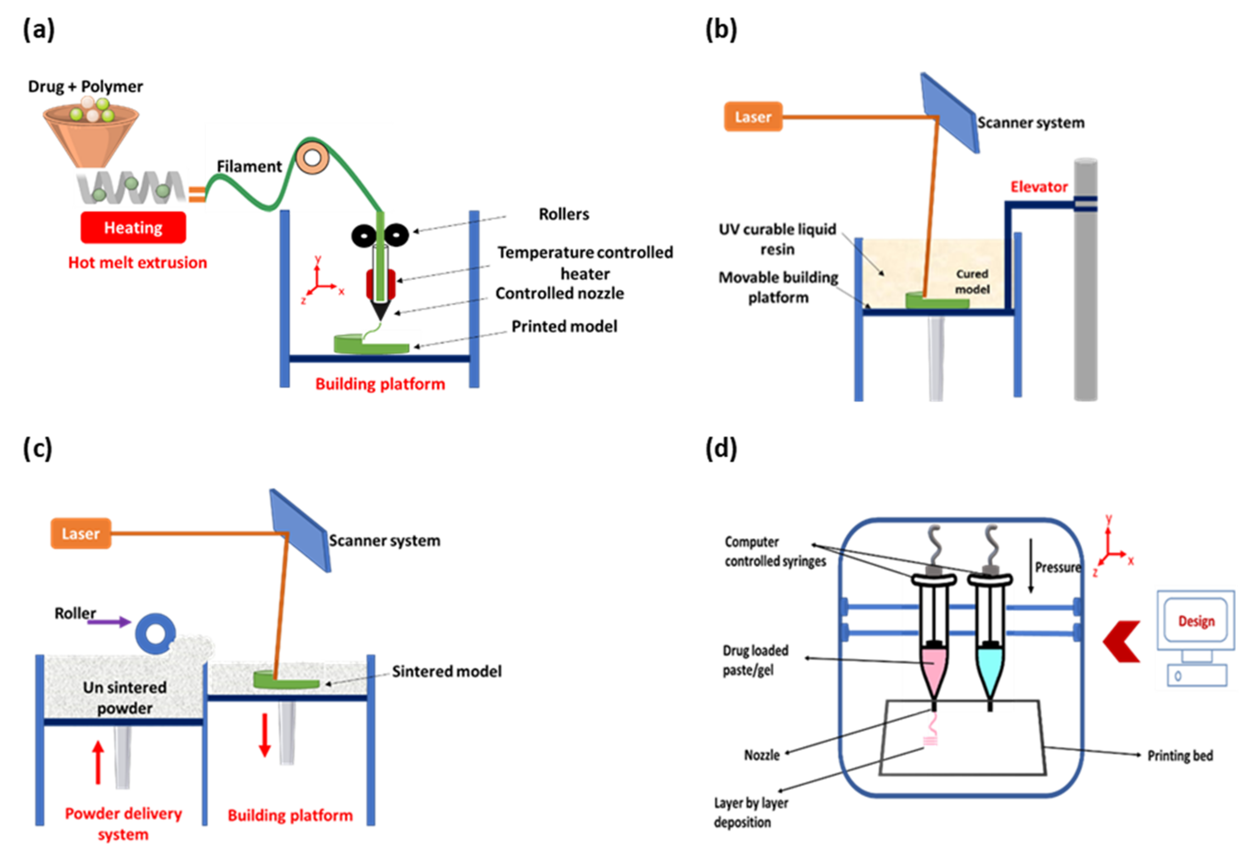 Pharmaceutics 13 01524 g003