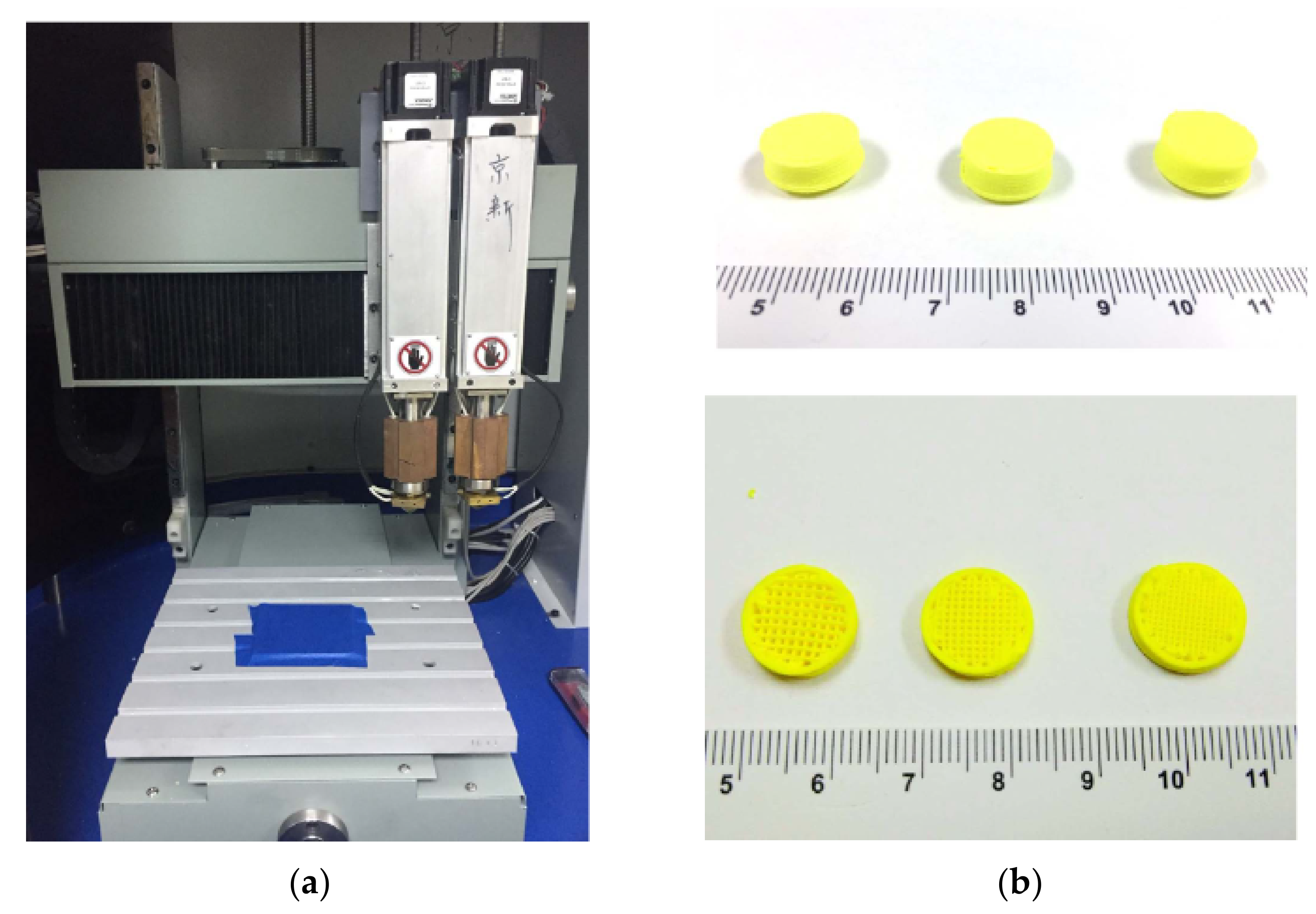 Pharmaceutics 13 01524 g008