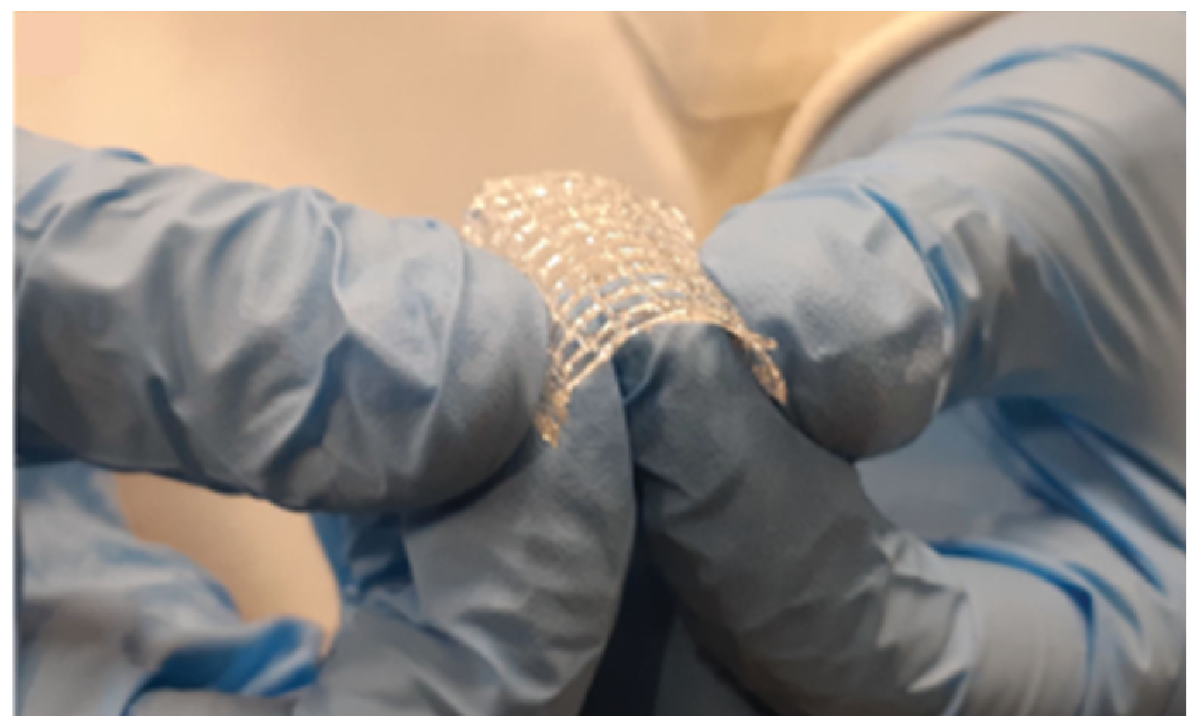 Pharmaceutics 13 01524 g009