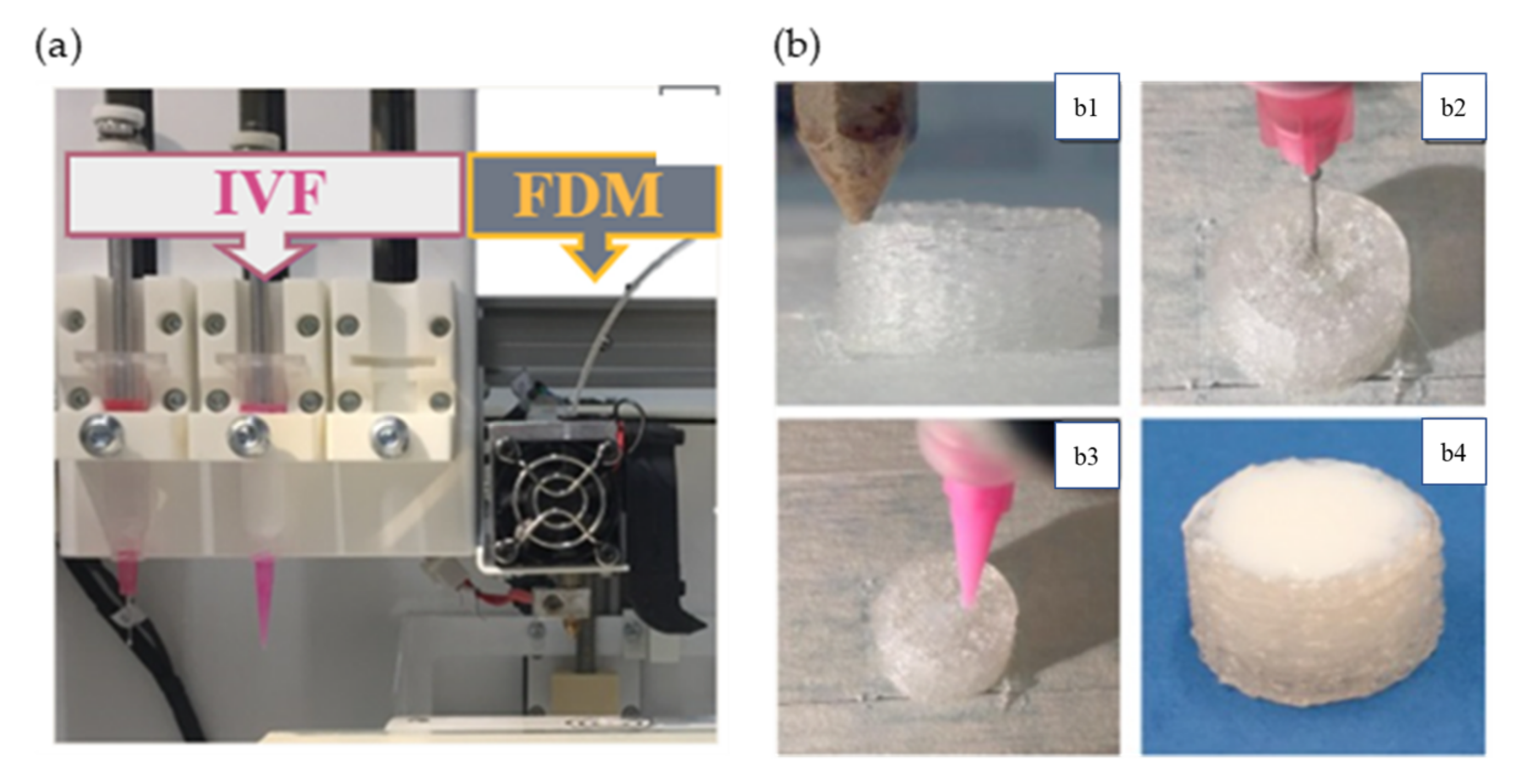 Pharmaceutics 13 01524 g011