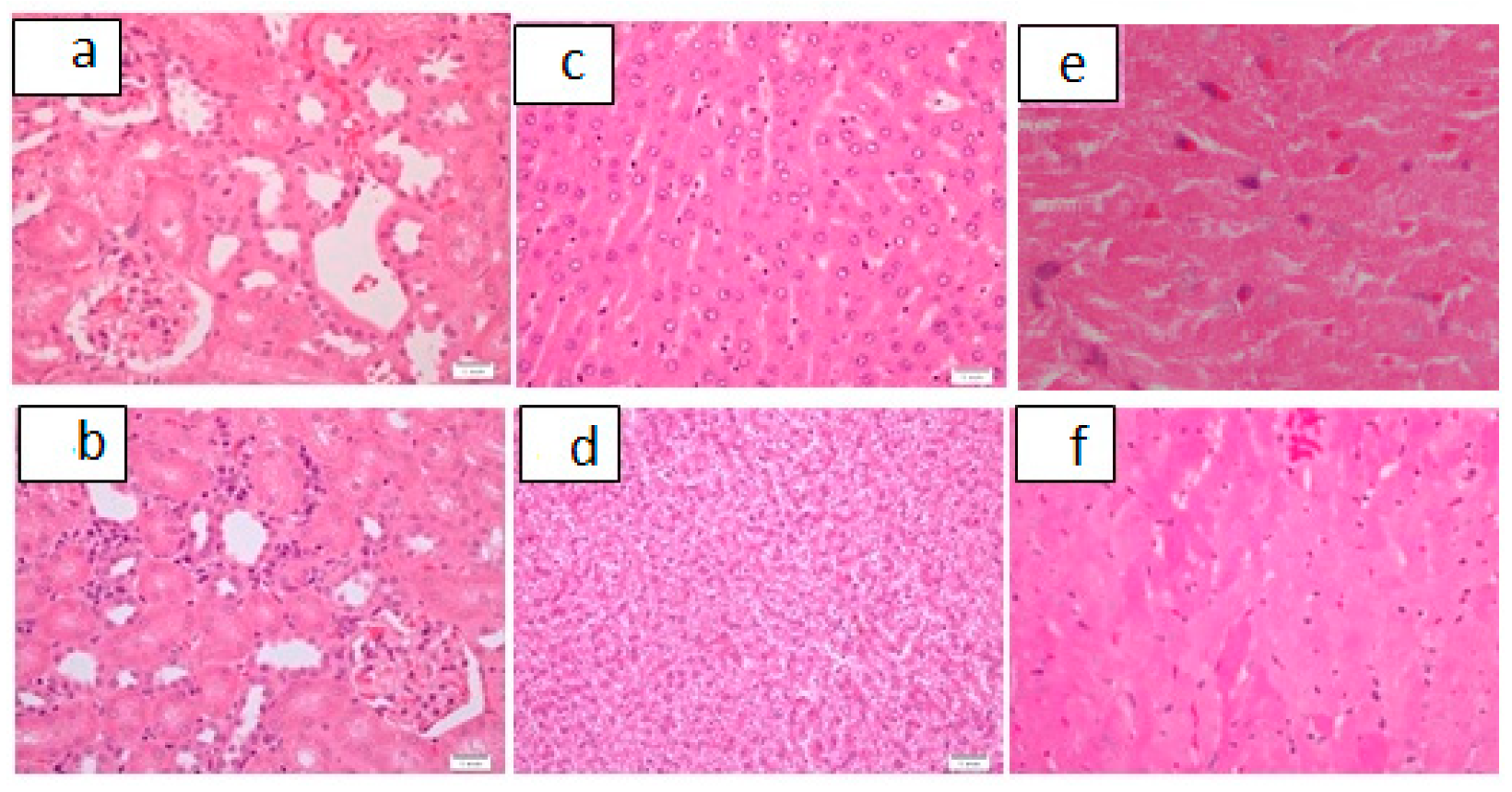 Pharmaceutics 13 01530 g008 550