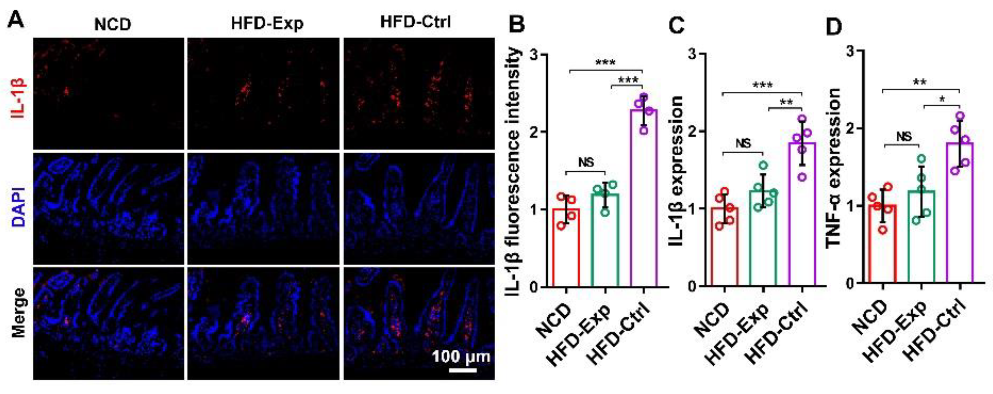 Pharmaceutics 13 01536 g002