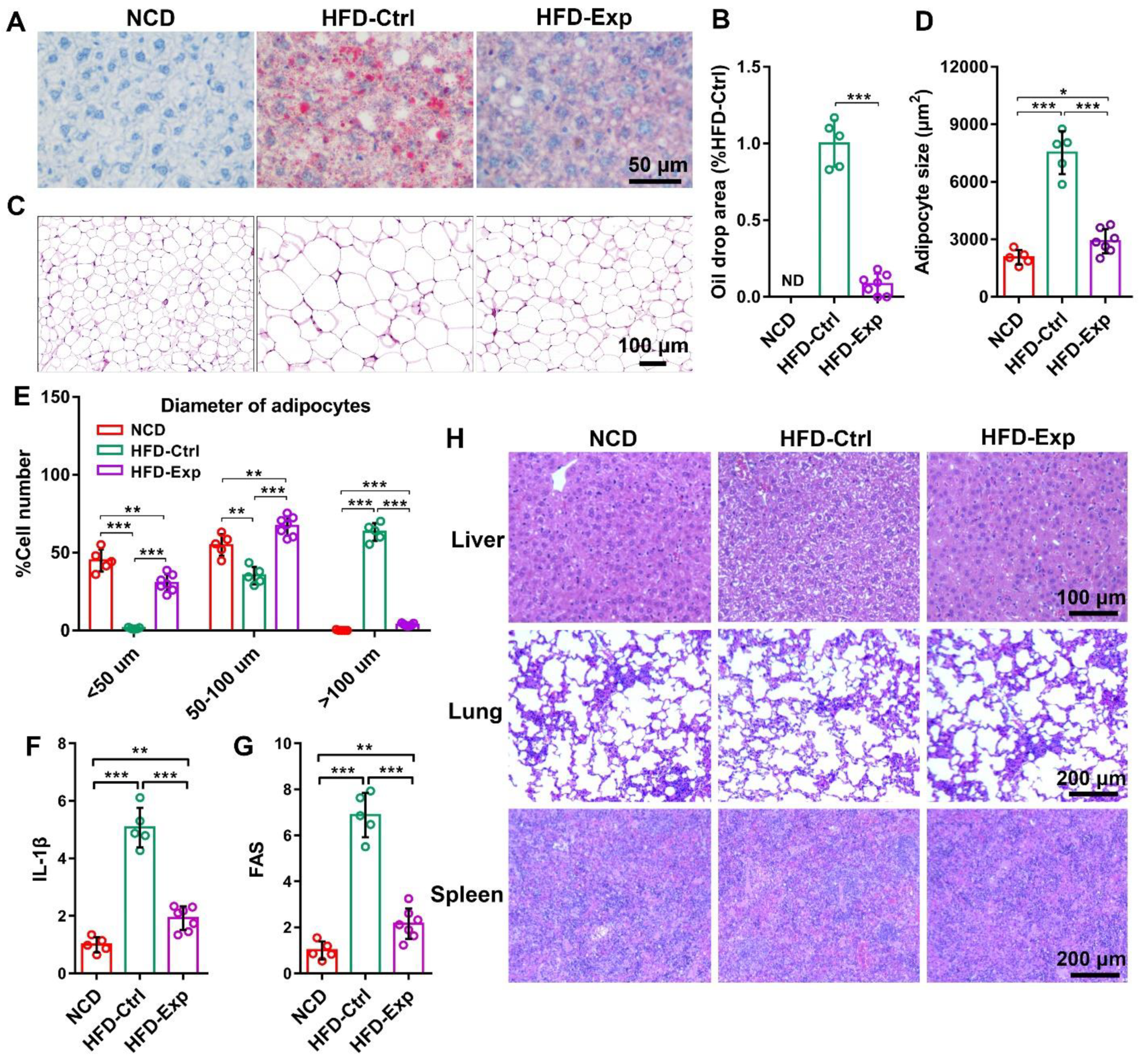 Pharmaceutics 13 01536 g004