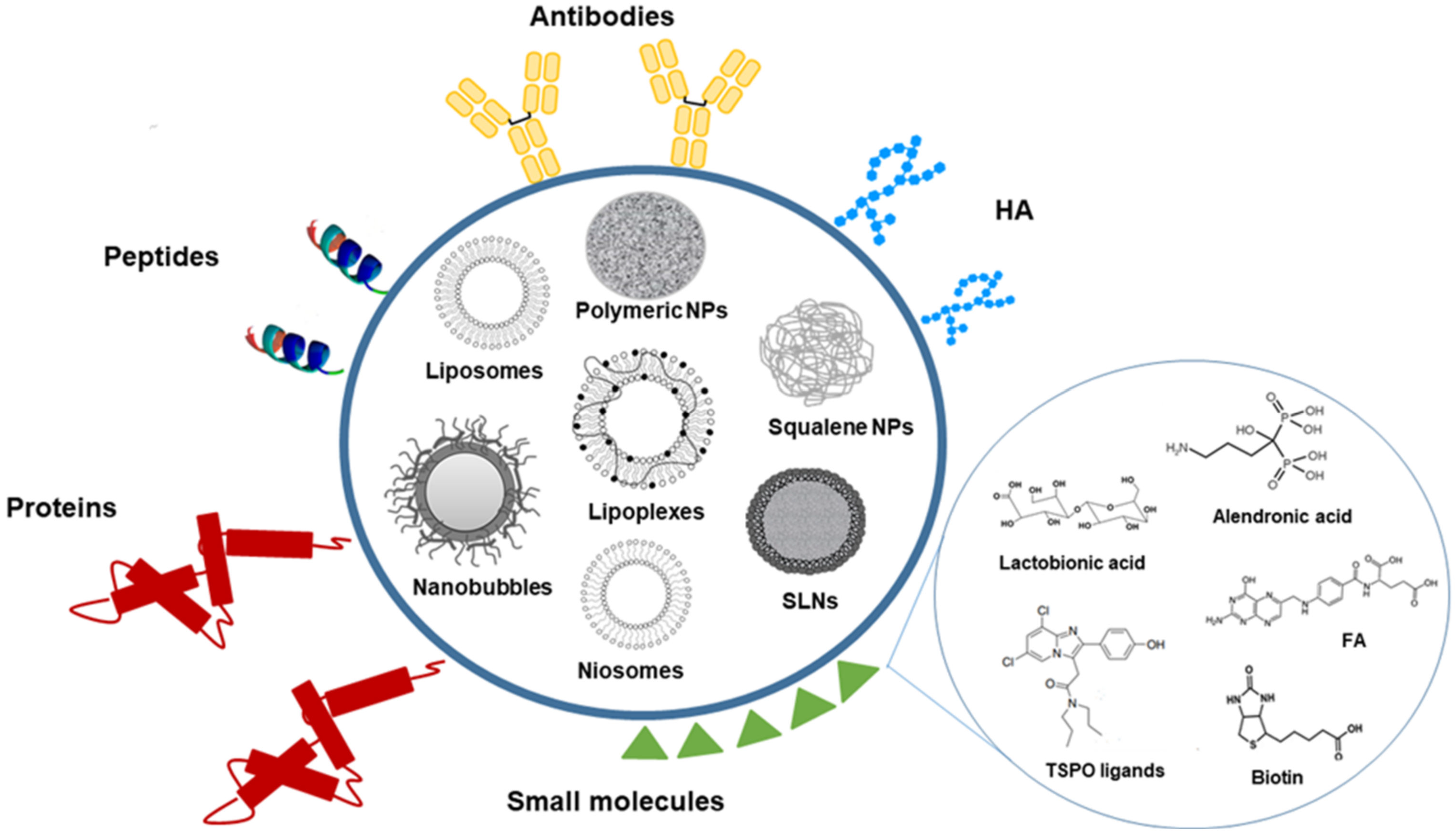 Pharmaceutics 13 01538 g001