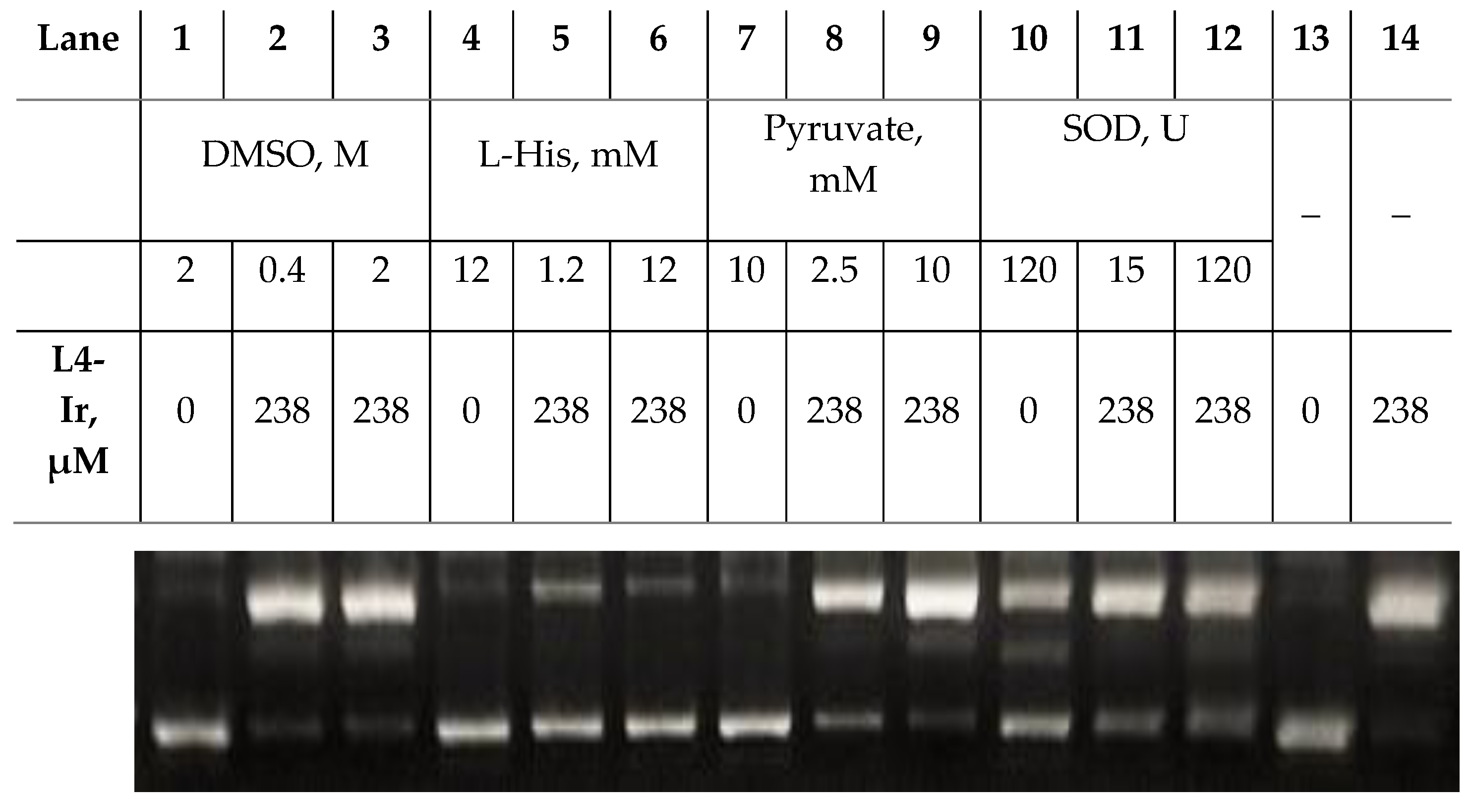 Pharmaceutics 13 01540 g009