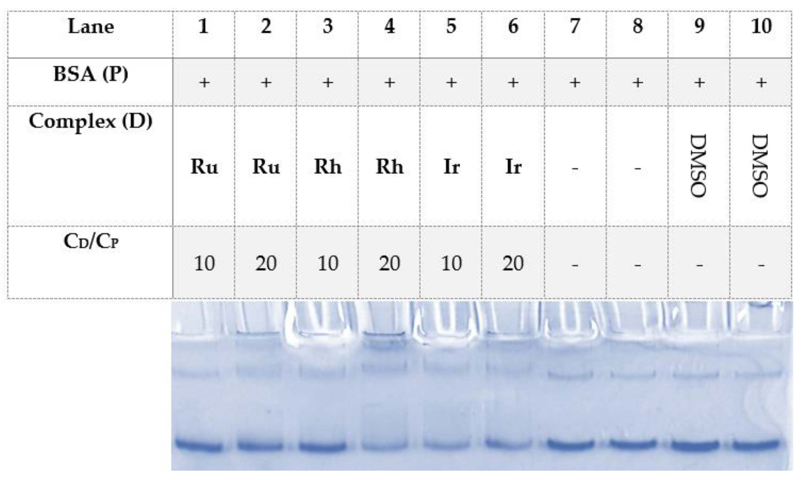 Pharmaceutics 13 01540 g014