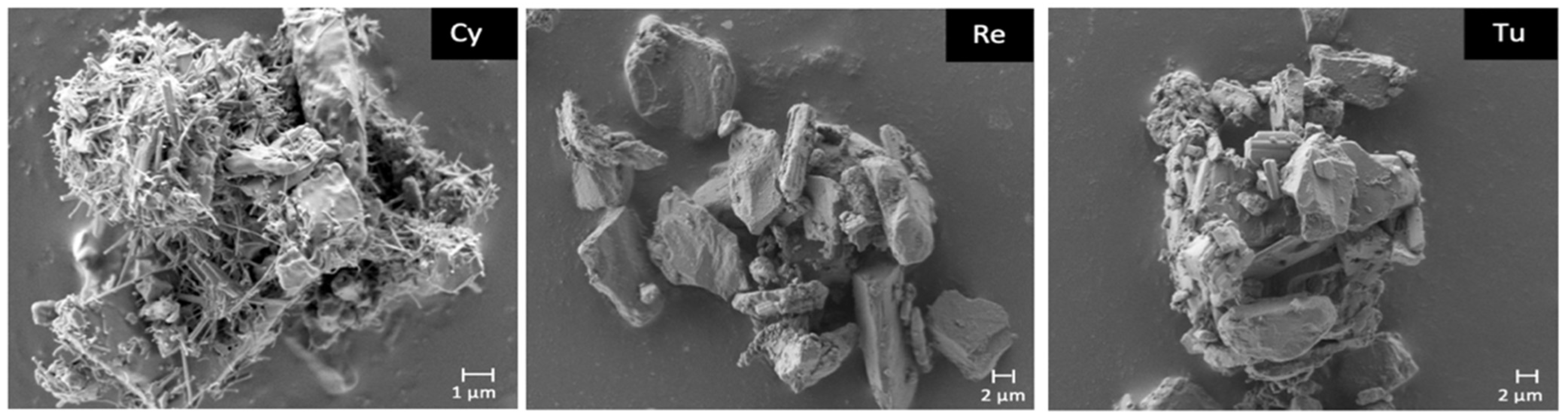 Pharmaceutics 13 01541 g004
