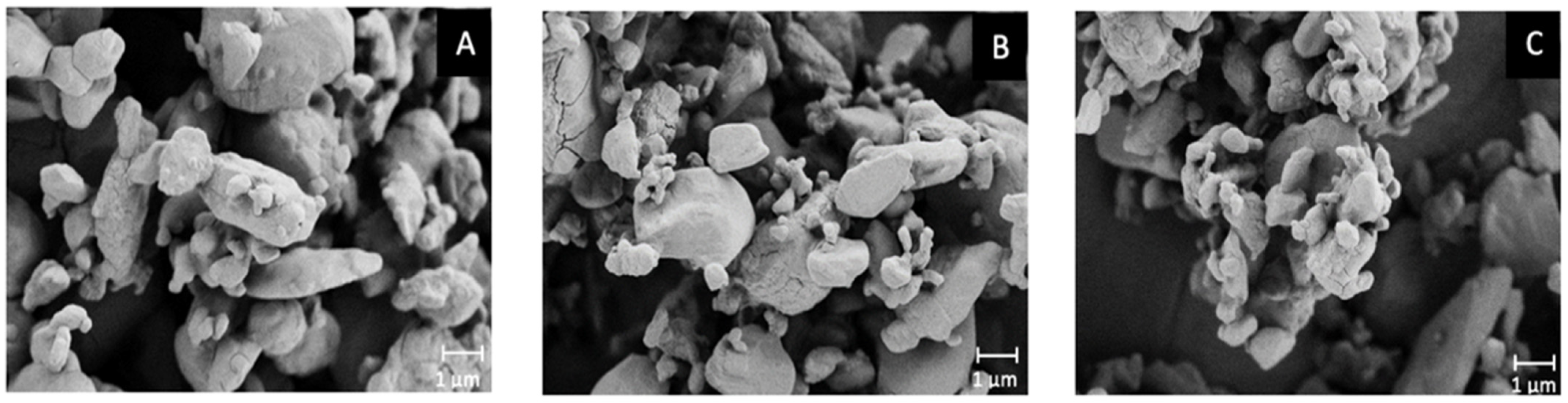 Pharmaceutics 13 01541 g006