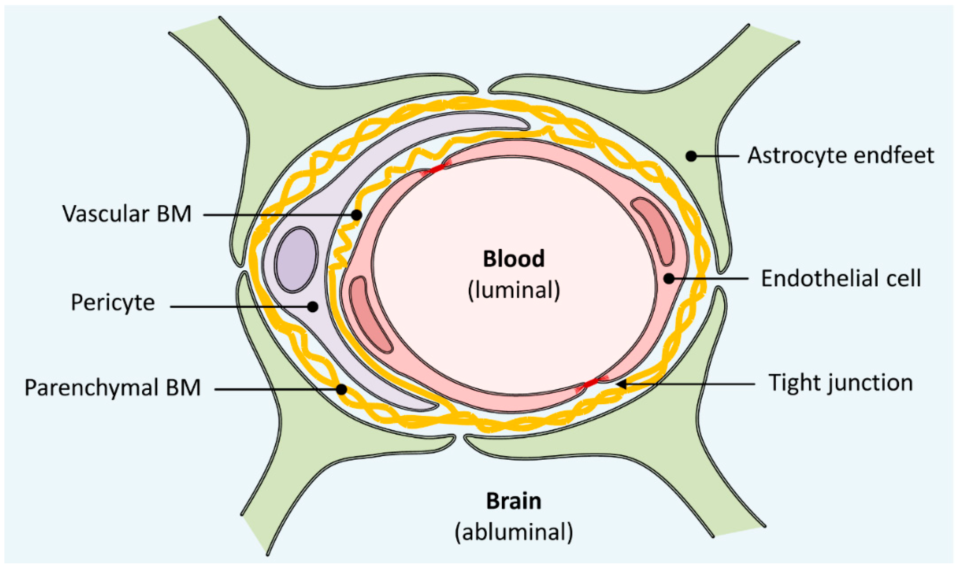 Pharmaceutics 13 01542 g001 Pharmaceutics 13 01542 g001