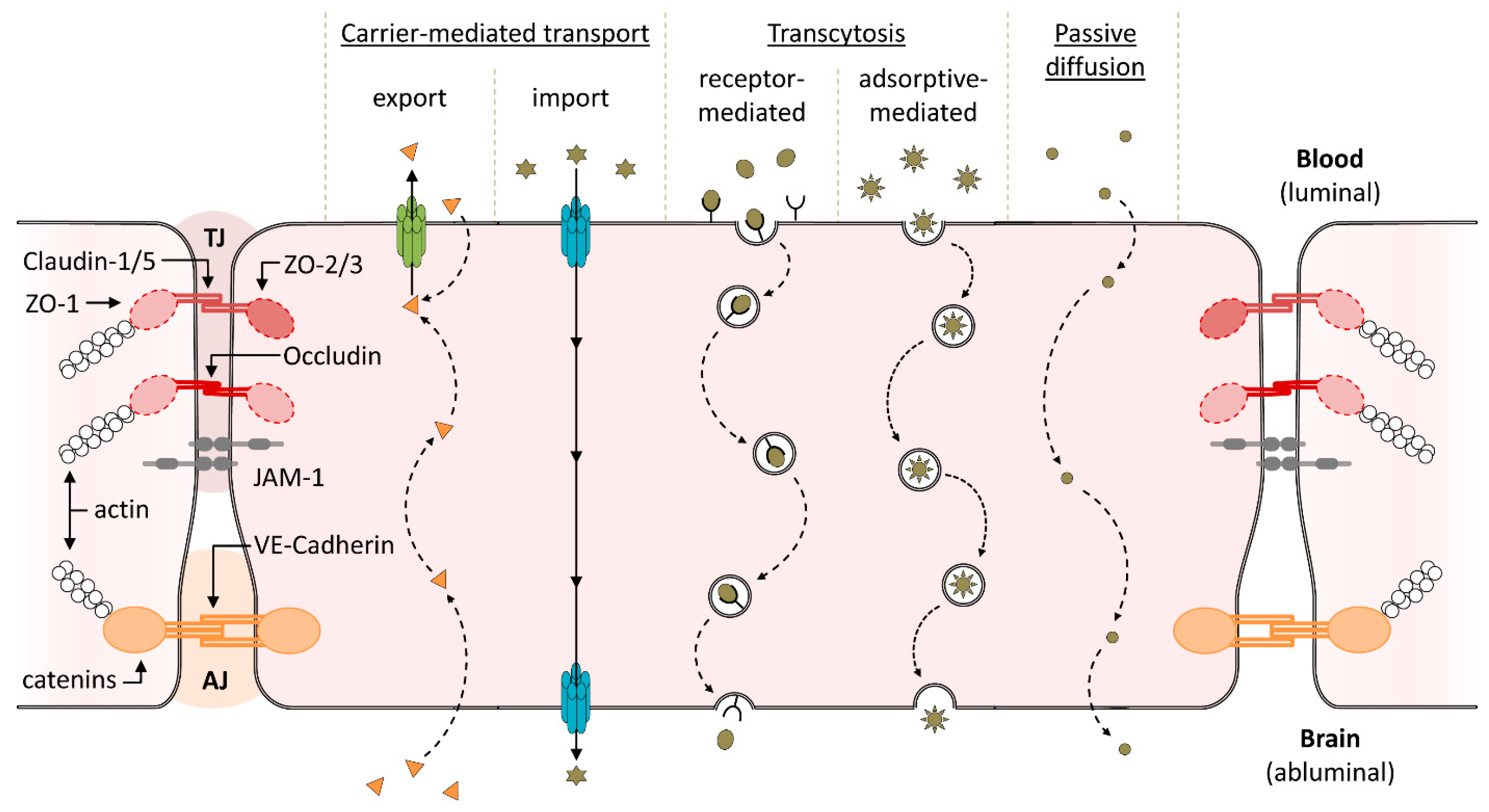 Pharmaceutics 13 01542 g002 Pharmaceutics 13 01542 g002