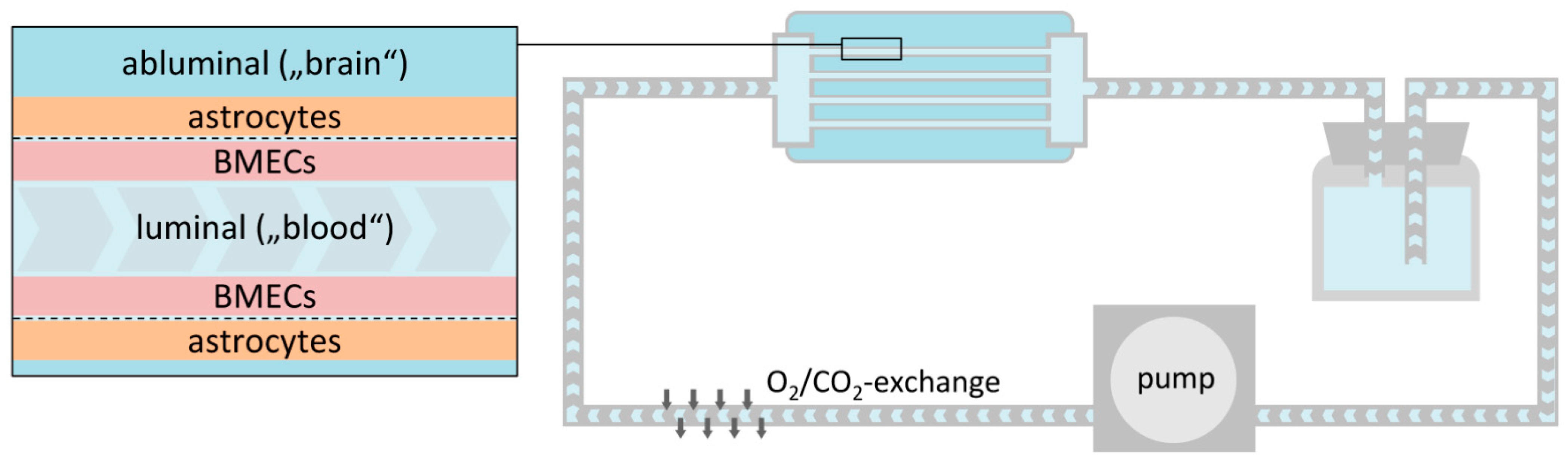 Pharmaceutics 13 01542 g008 Pharmaceutics 13 01542 g008
