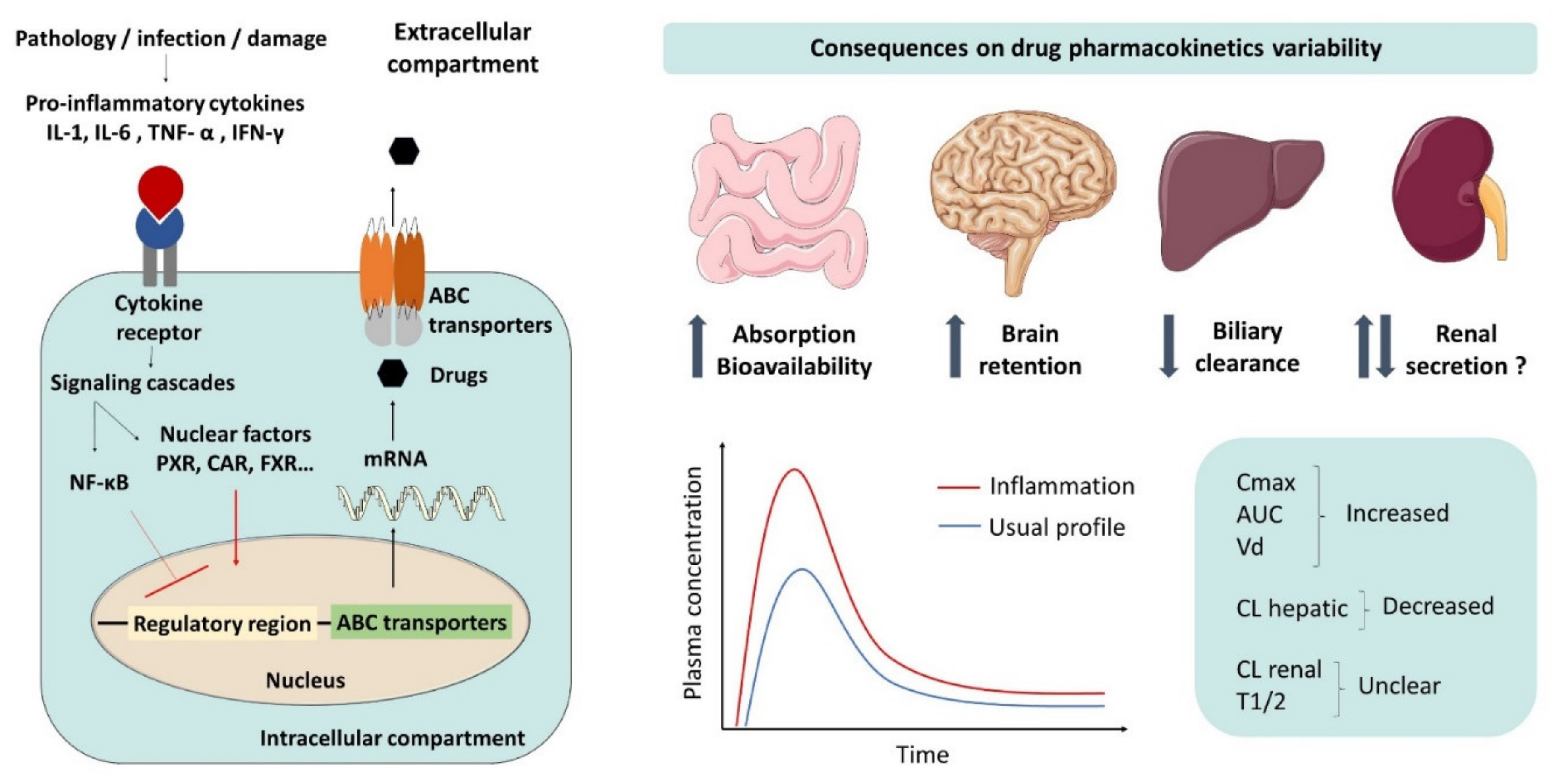 Pharmaceutics 13 01544 g001