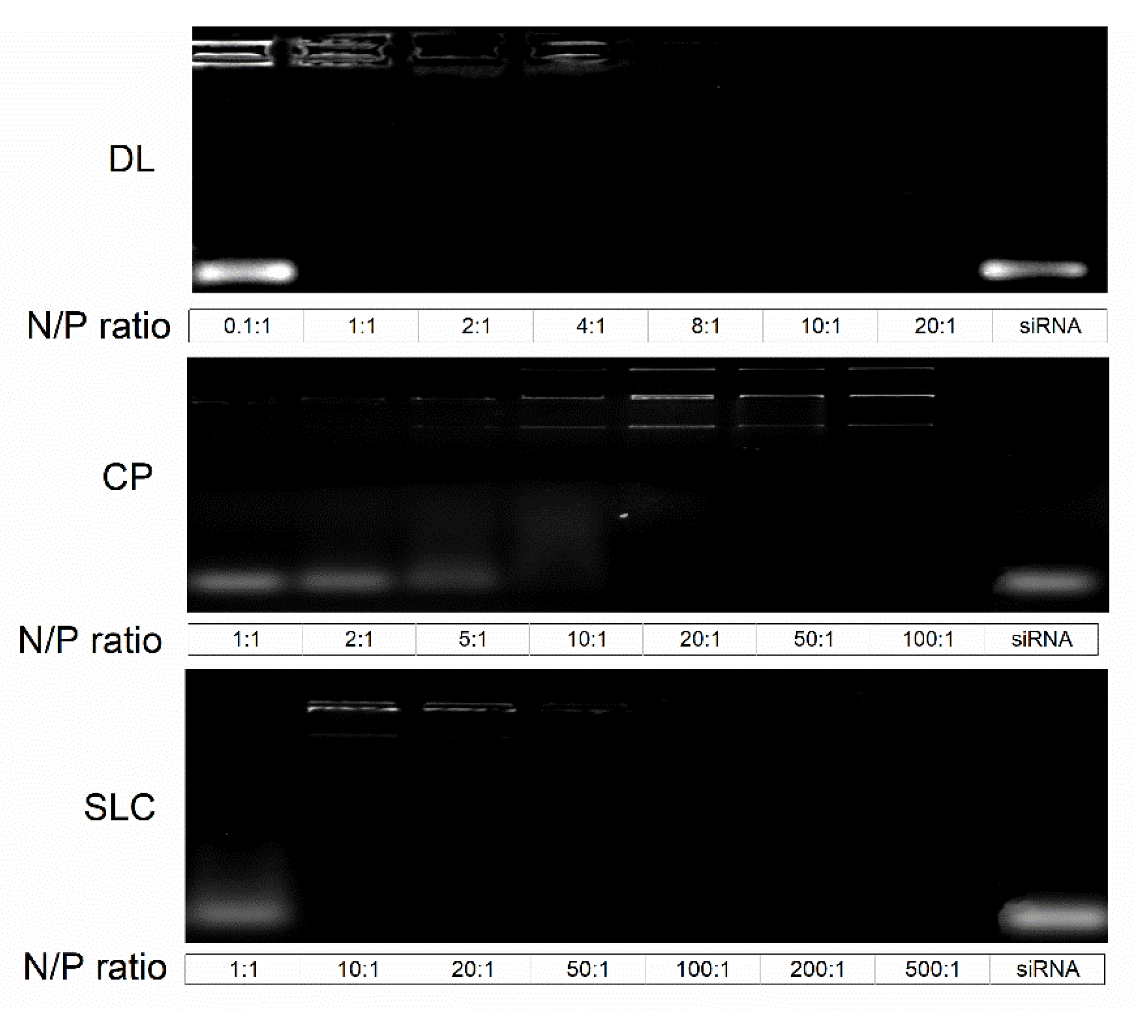 Pharmaceutics 13 01546 g001