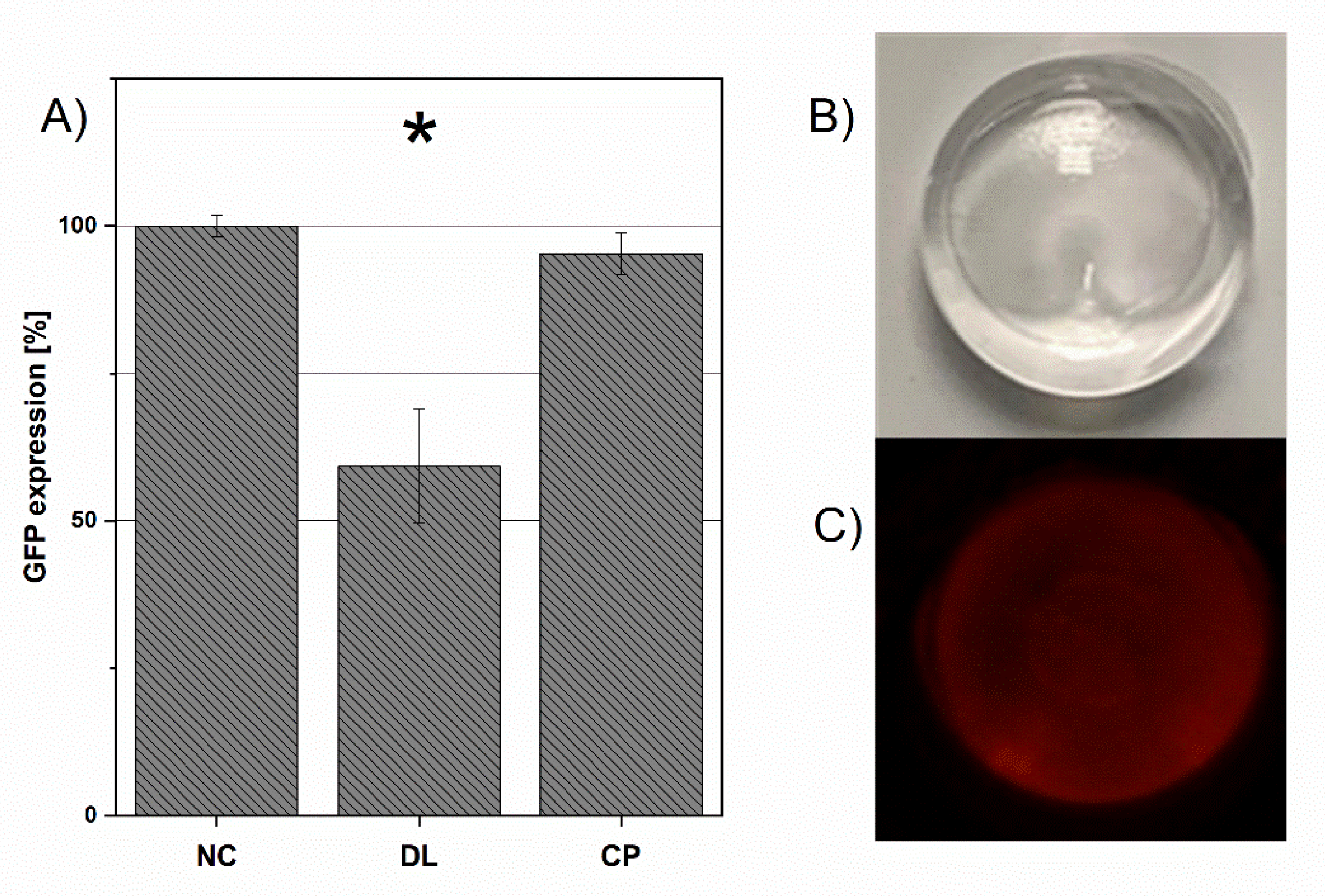 Pharmaceutics 13 01546 g003