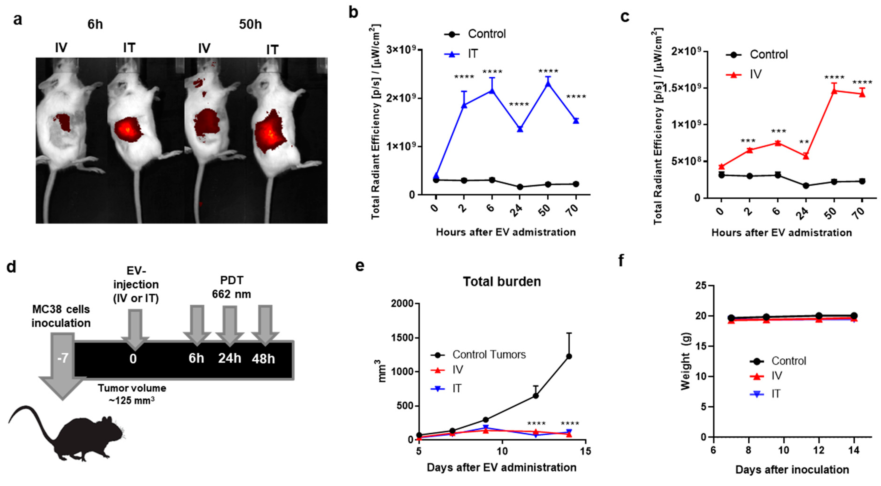 Pharmaceutics 13 01547 g004