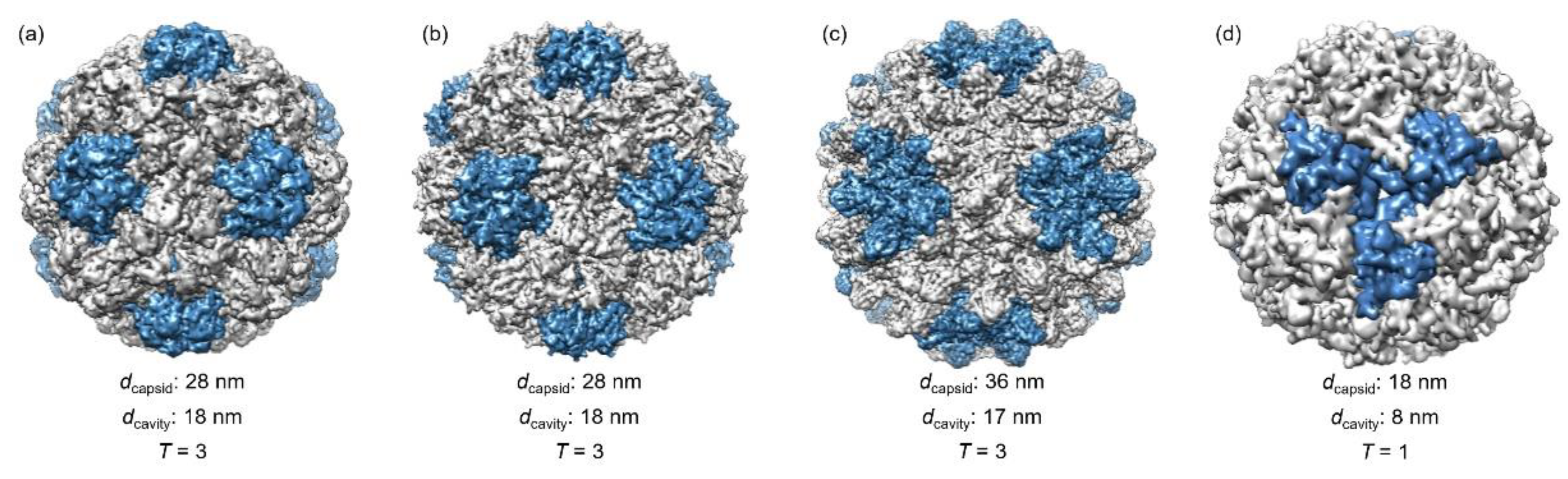 Pharmaceutics 13 01551 g001
