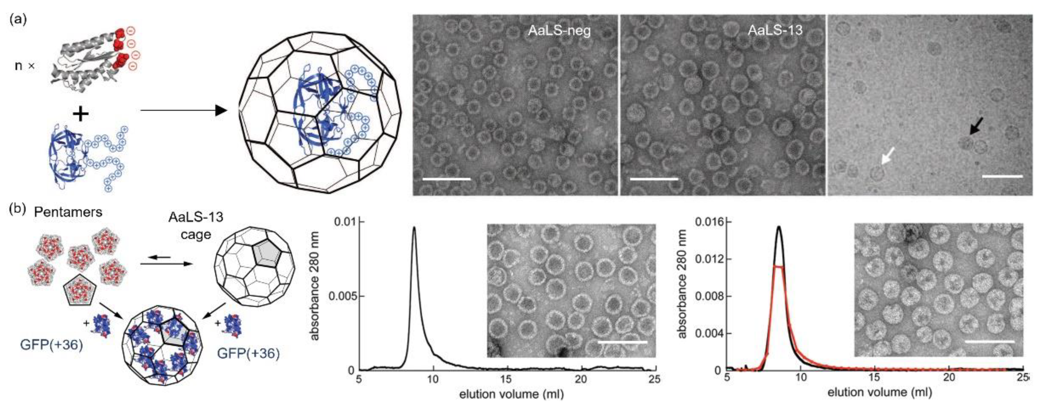 Pharmaceutics 13 01551 g006