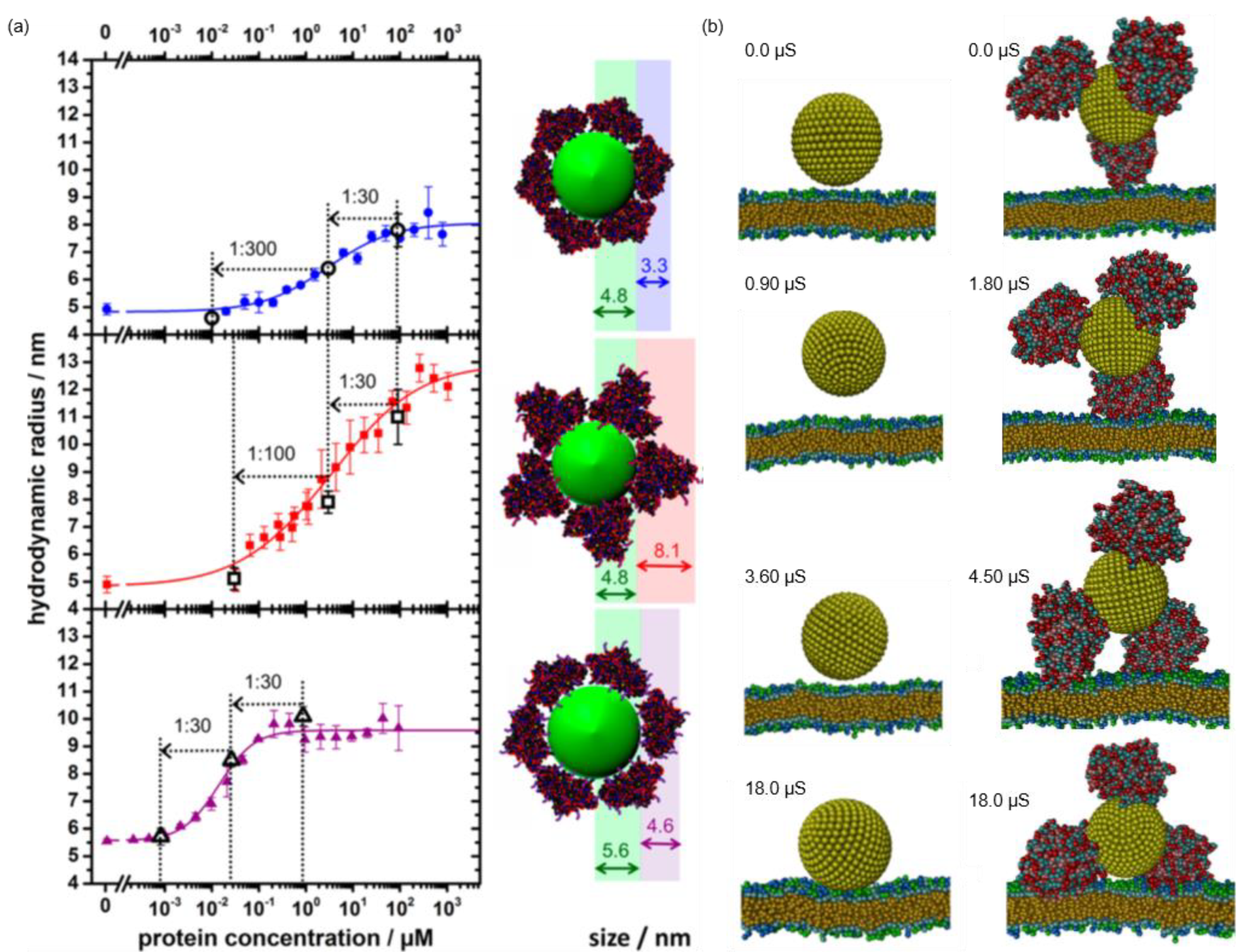Pharmaceutics 13 01551 g008