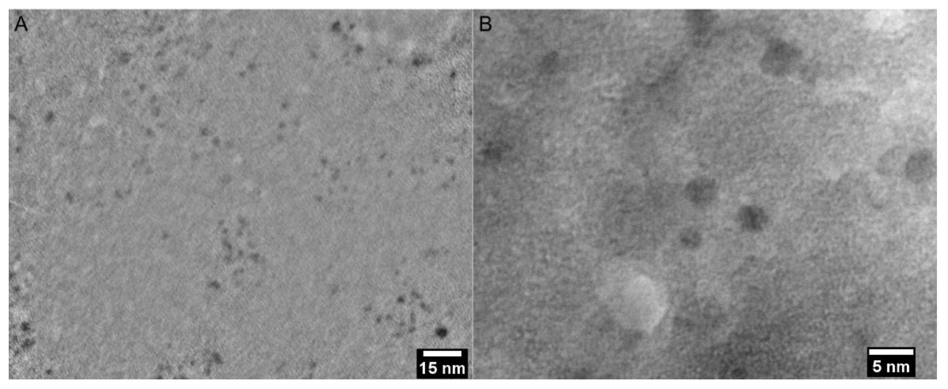 Pharmaceutics 13 01556 g010