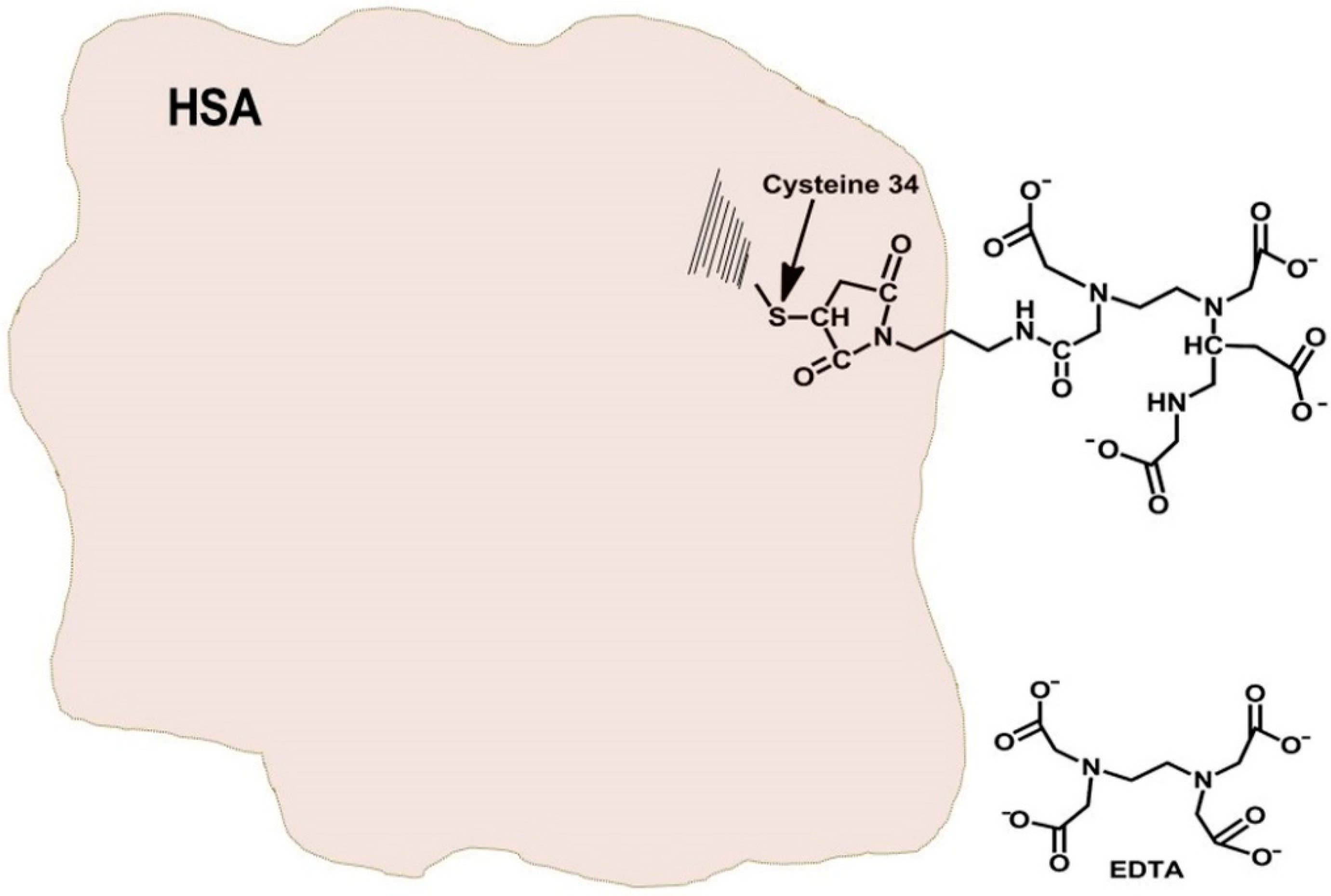 Pharmaceutics 13 01557 g001