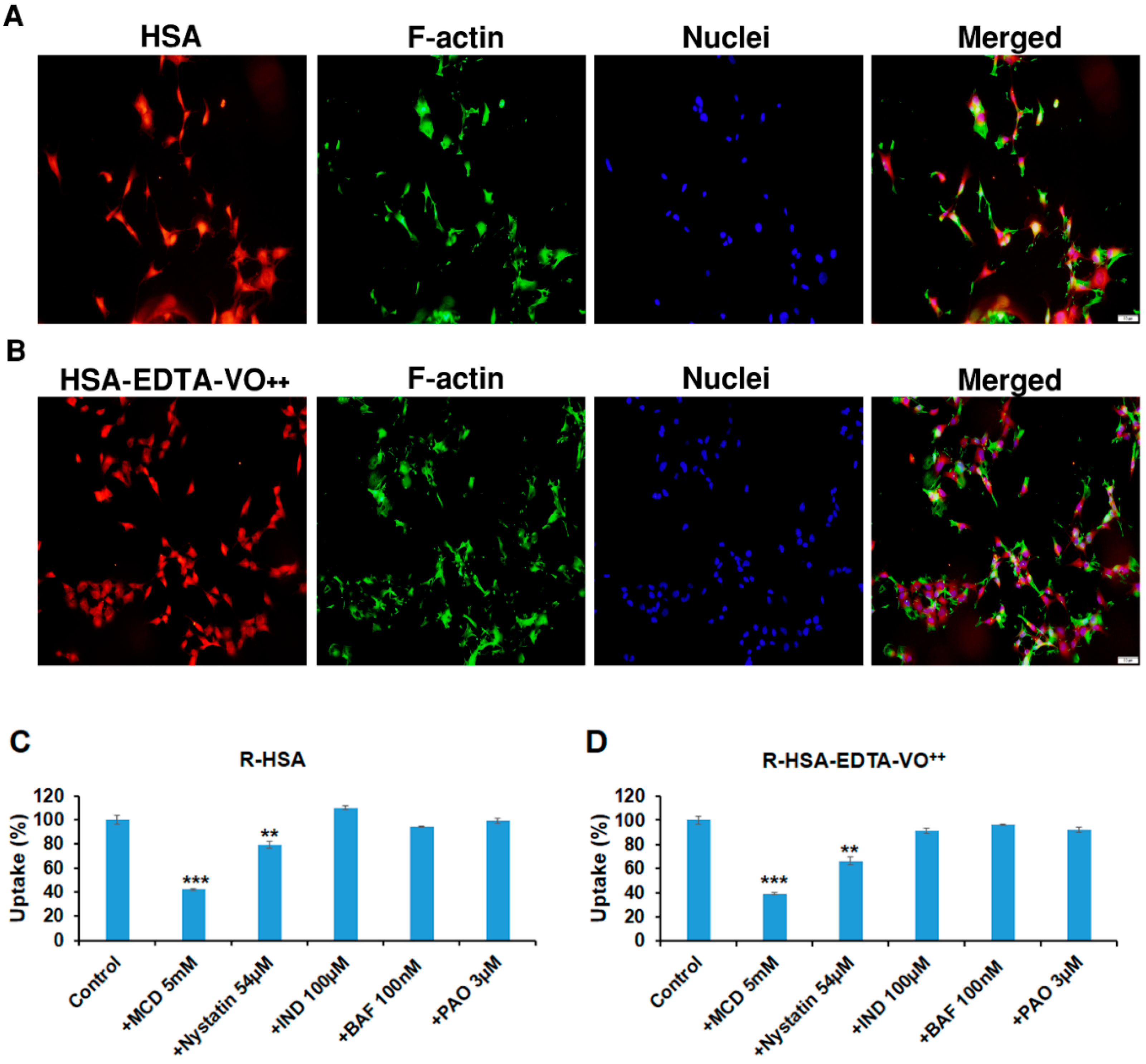 Pharmaceutics 13 01557 g005