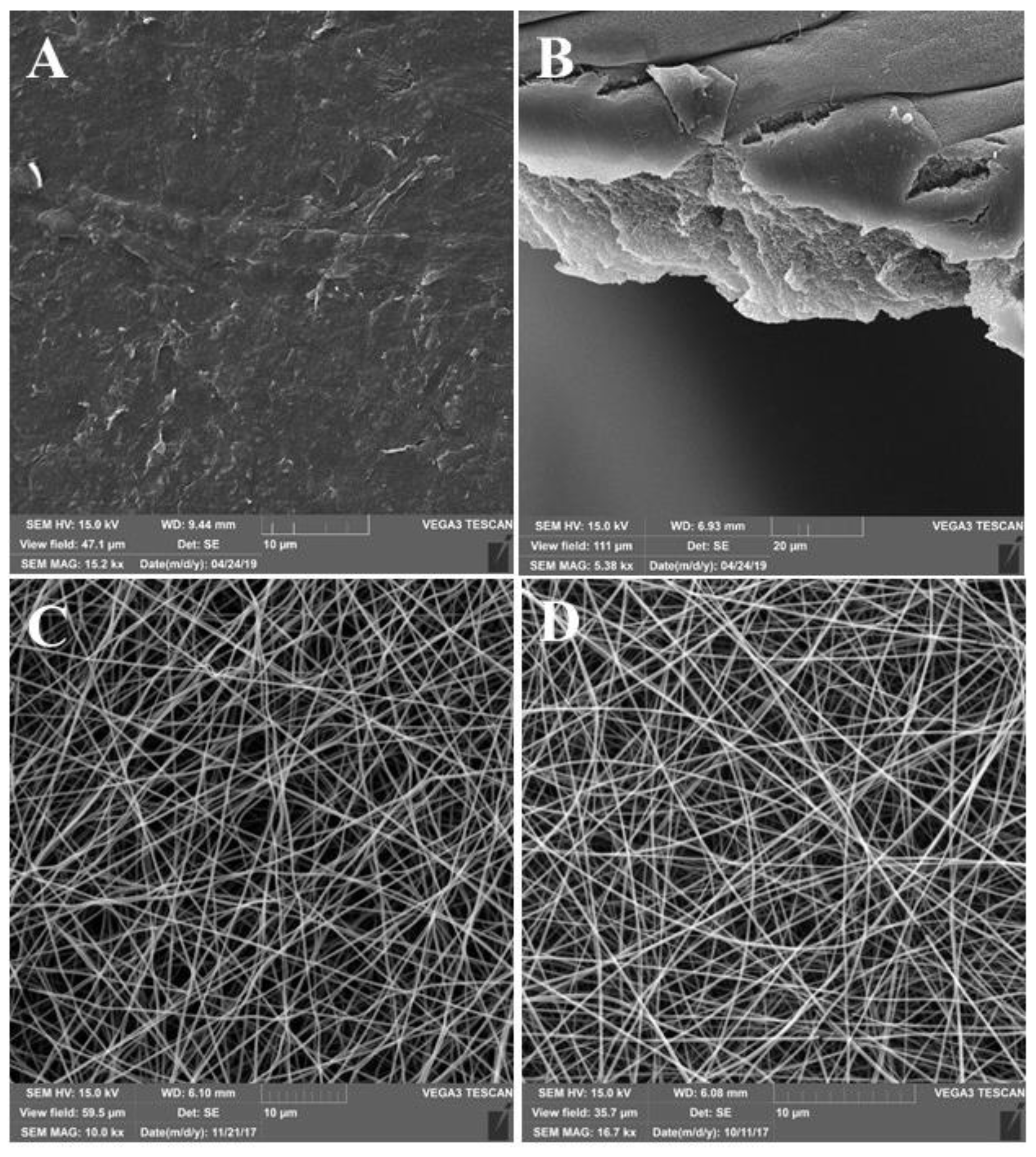 Pharmaceutics 13 01561 g001