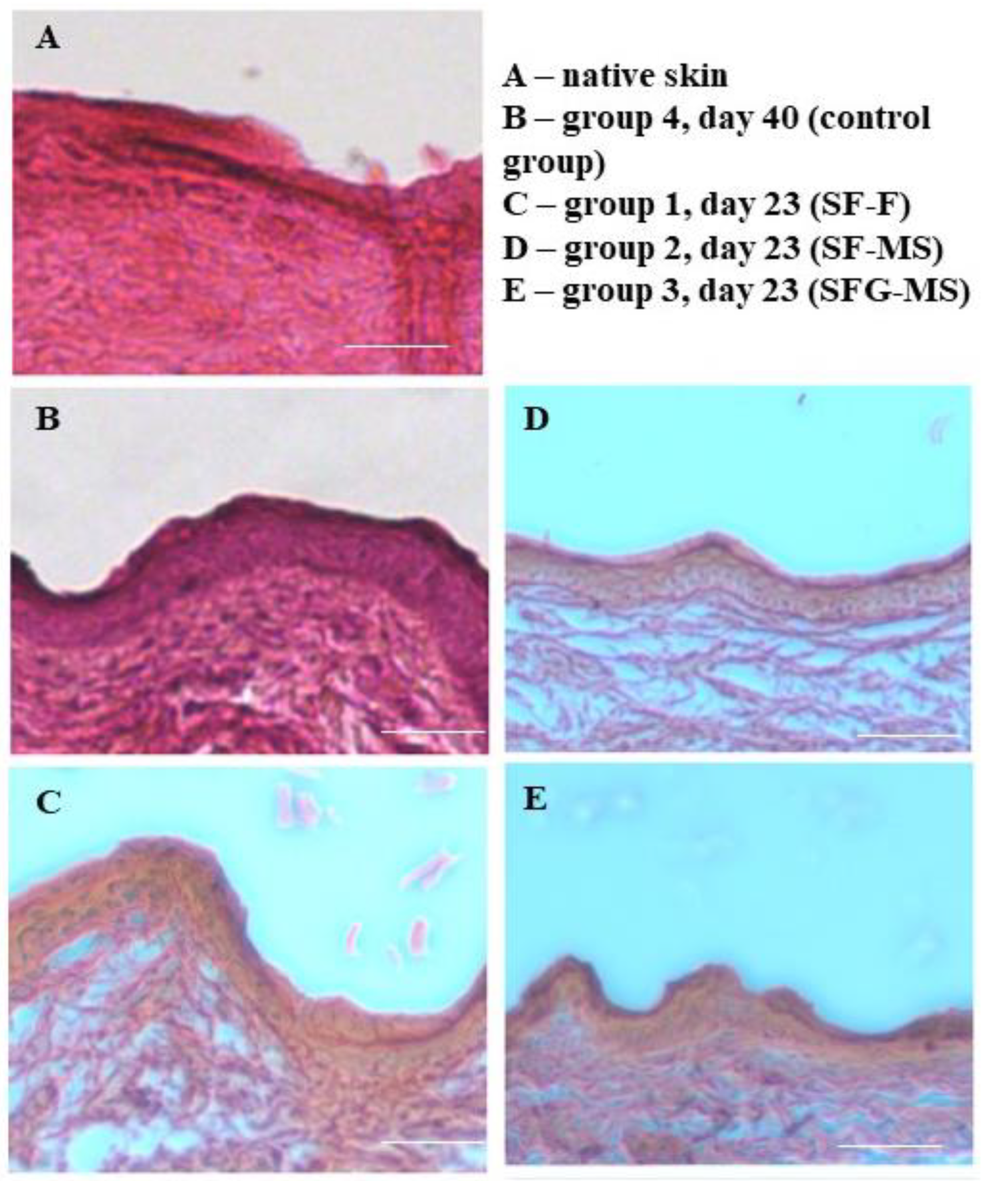 Pharmaceutics 13 01561 g008