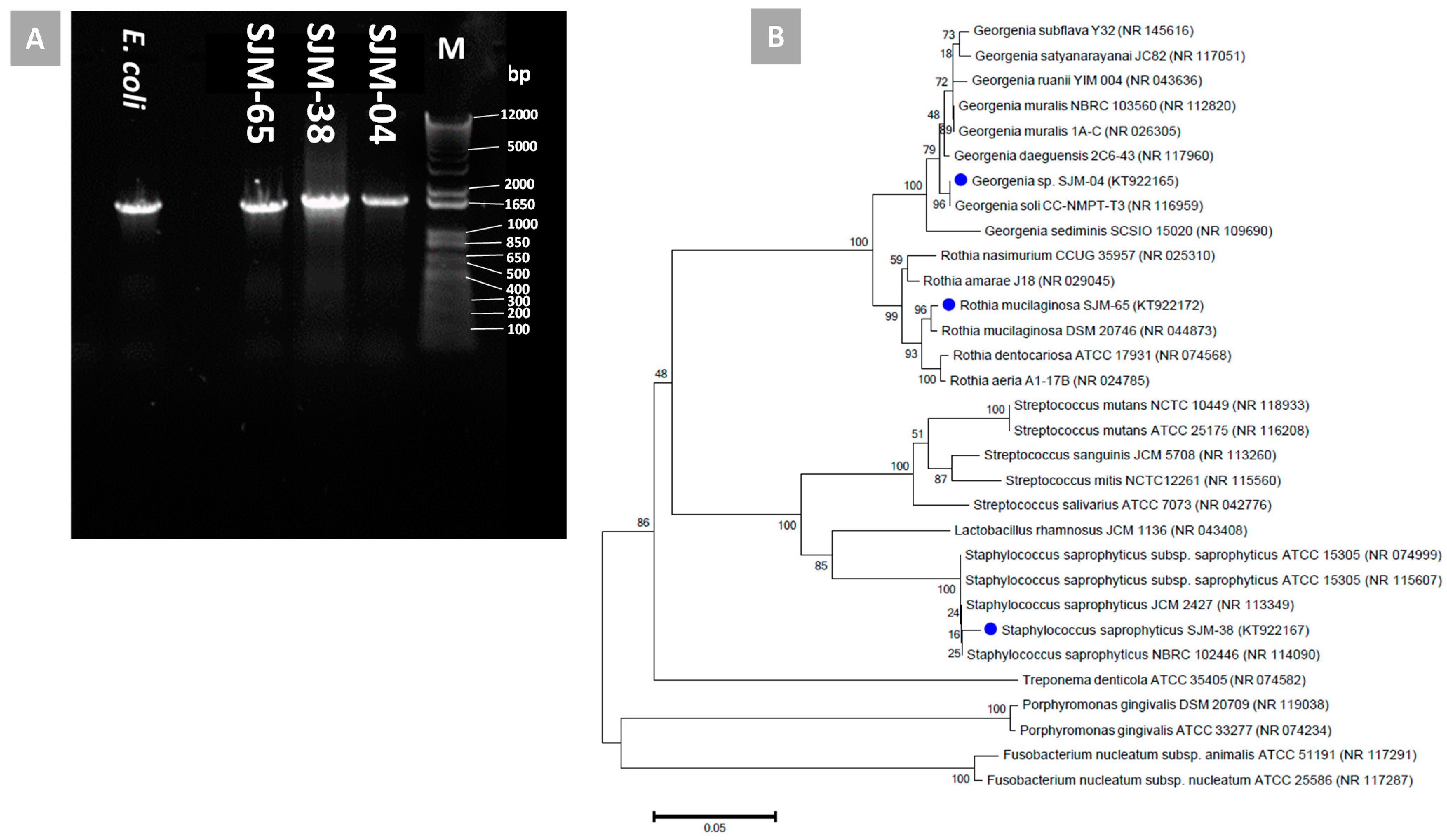 Pharmaceutics 13 01564 g002 Pharmaceutics 13 01564 g002