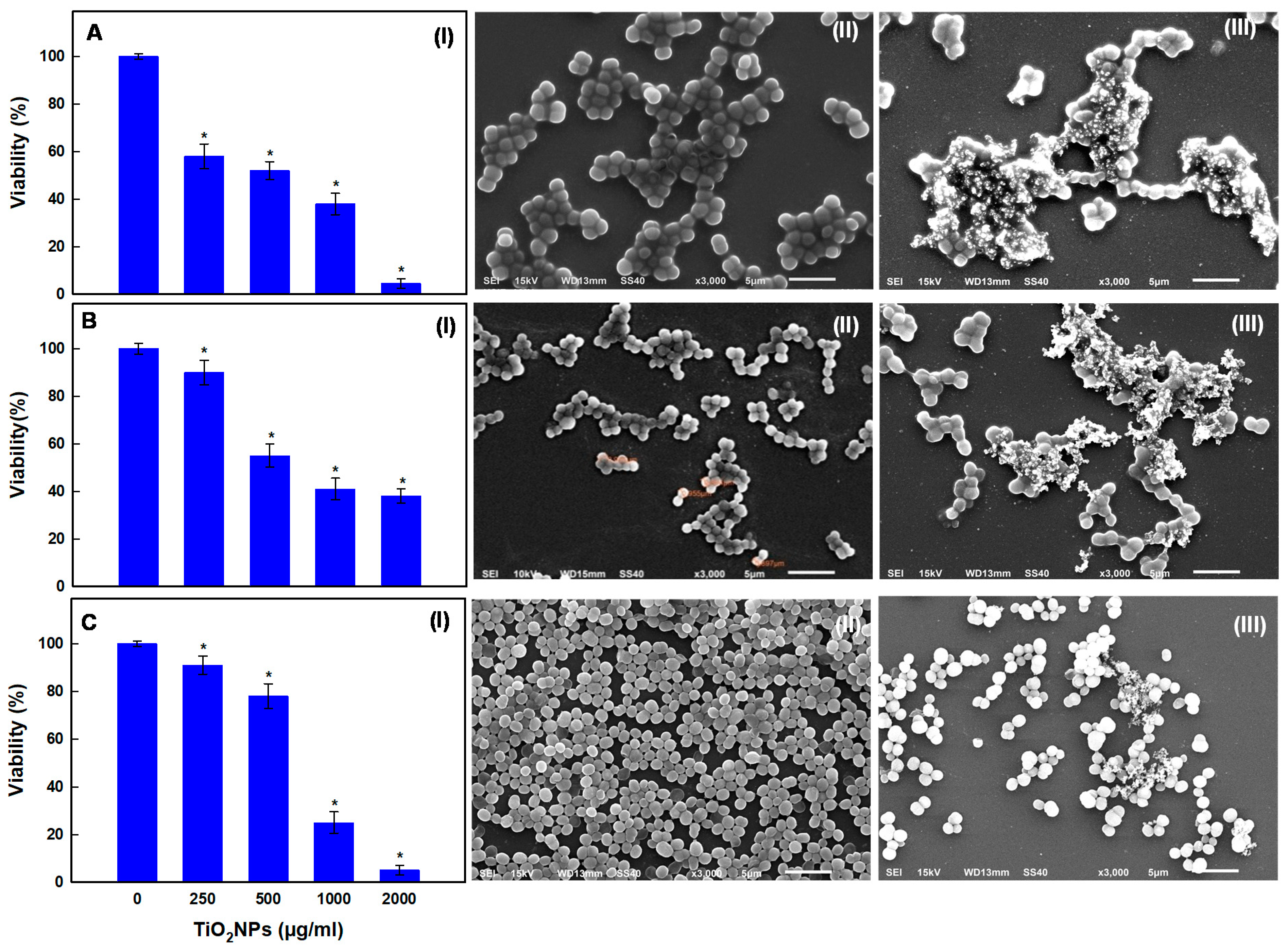 Pharmaceutics 13 01564 g005 Pharmaceutics 13 01564 g005