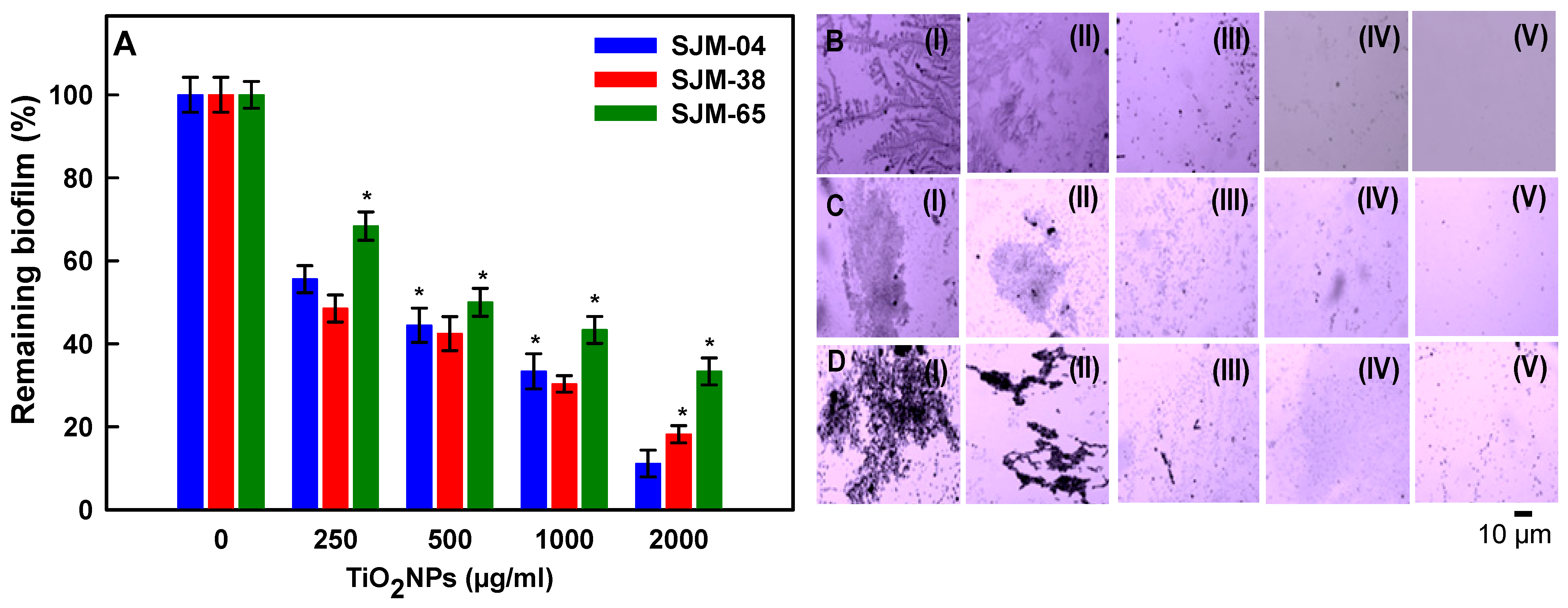 Pharmaceutics 13 01564 g006 Pharmaceutics 13 01564 g006