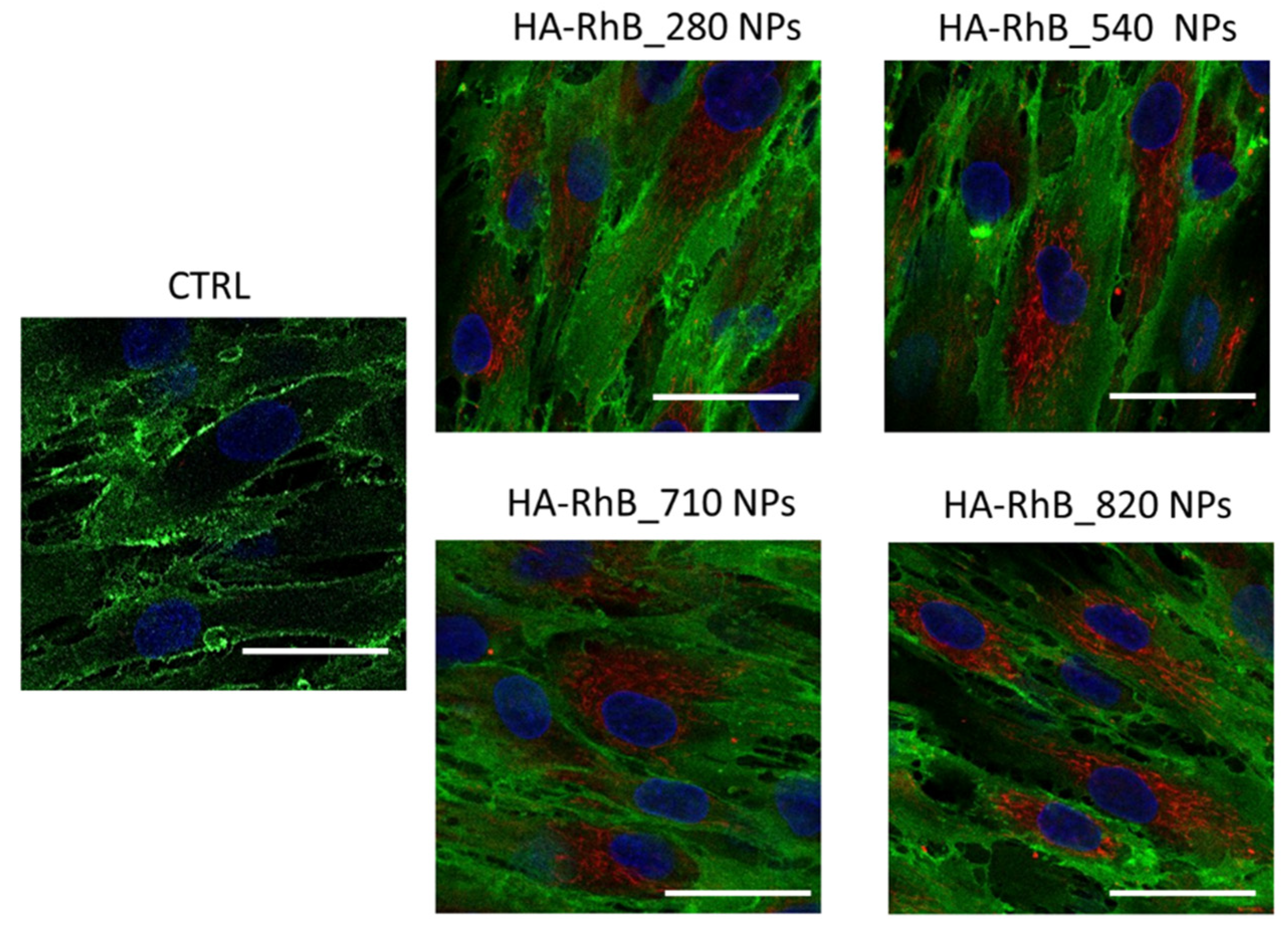 Pharmaceutics 13 01565 g007
