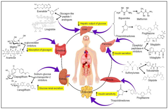 Emerging Treatment Strategies for Diabetes Mellitus and Associated