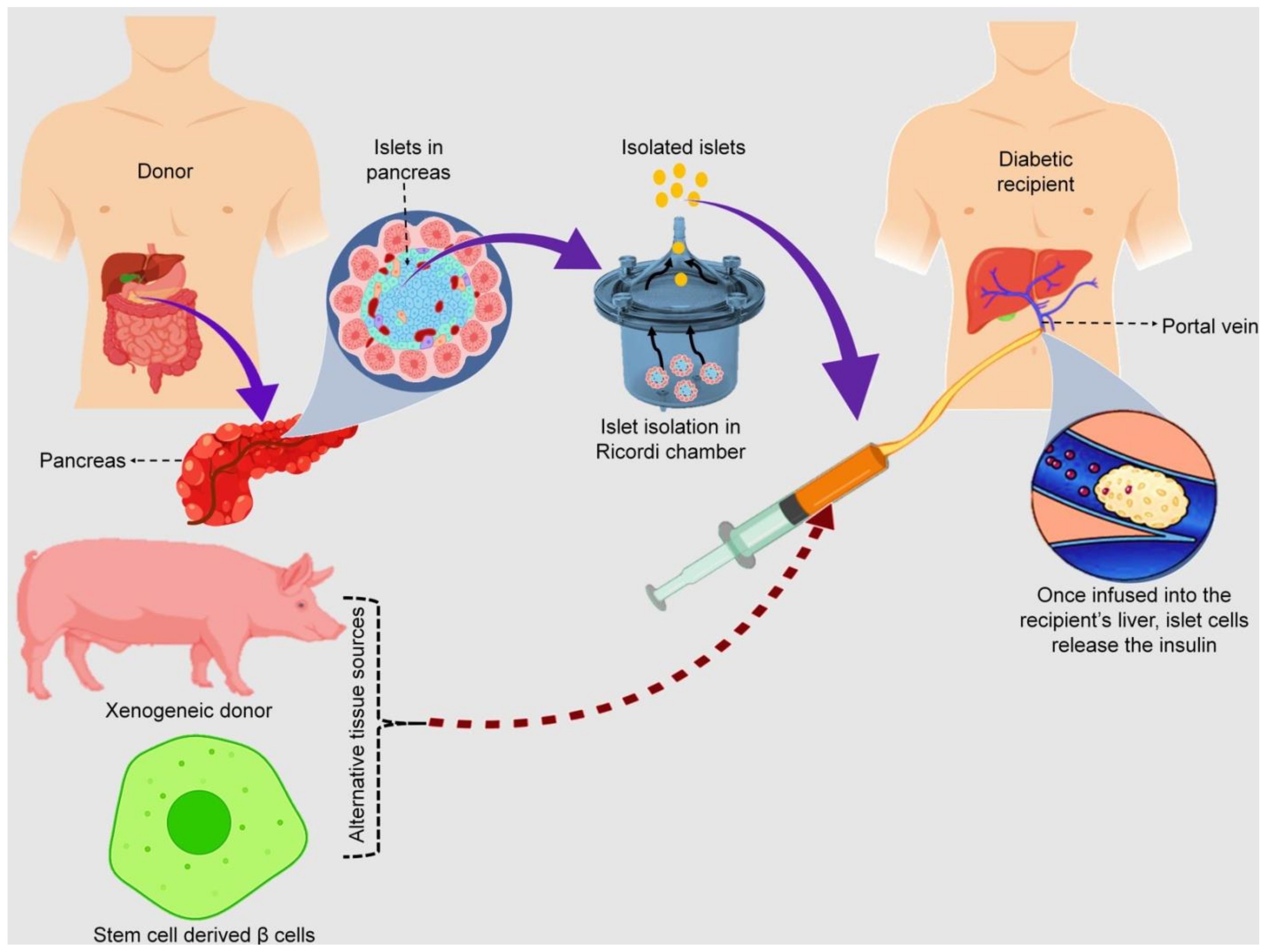 Pharmaceutics 13 01568 g007 Pharmaceutics 13 01568 g007